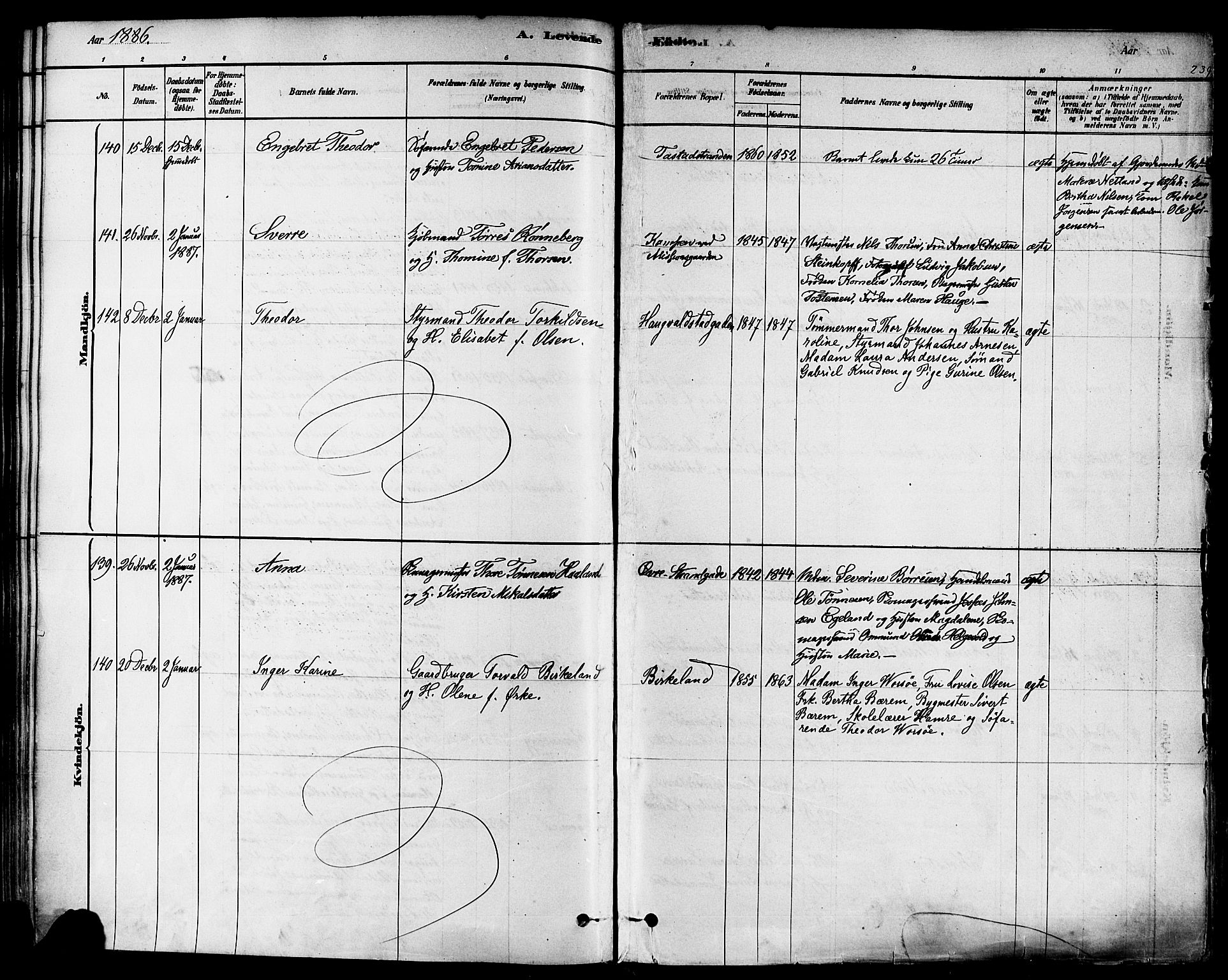 Domkirken sokneprestkontor, AV/SAST-A-101812/001/30/30BA/L0026: Parish register (official) no. A 25, 1878-1889, p. 239