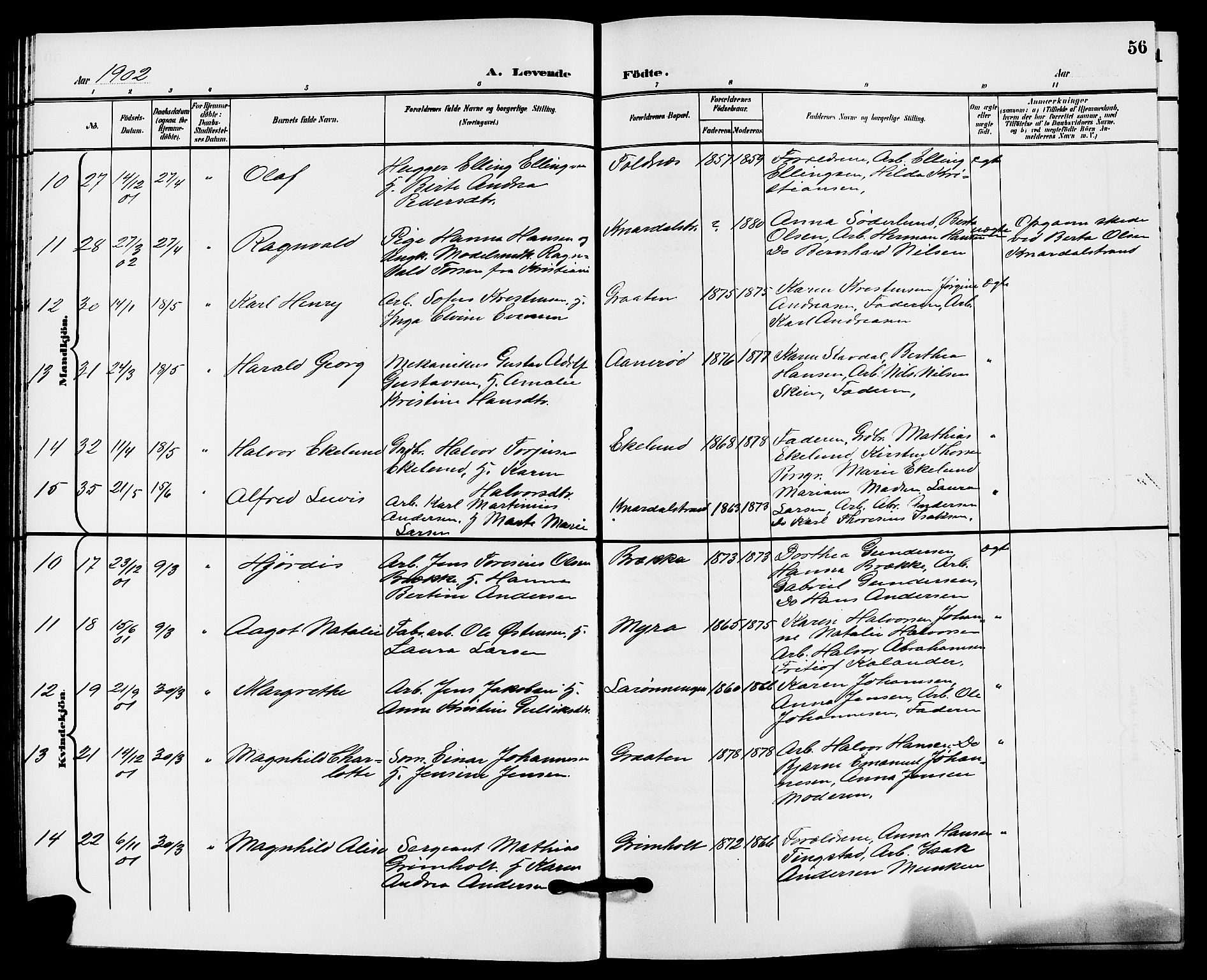 Solum kirkebøker, AV/SAKO-A-306/G/Ga/L0008: Parish register (copy) no. I 8, 1898-1909, p. 56
