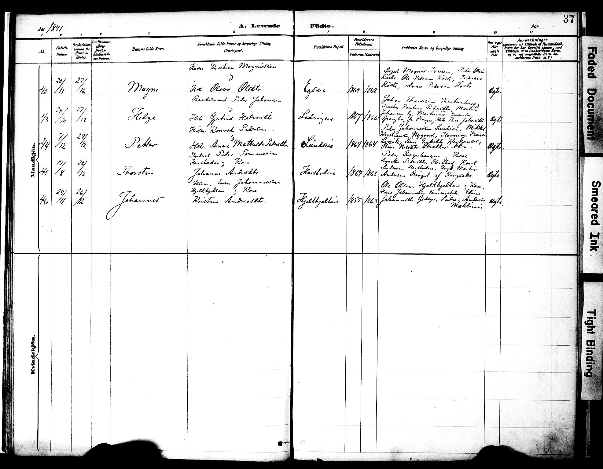 Nes prestekontor, Hedmark, SAH/PREST-020/K/Ka/L0009: Parish register (official) no. 9, 1887-1905, p. 37