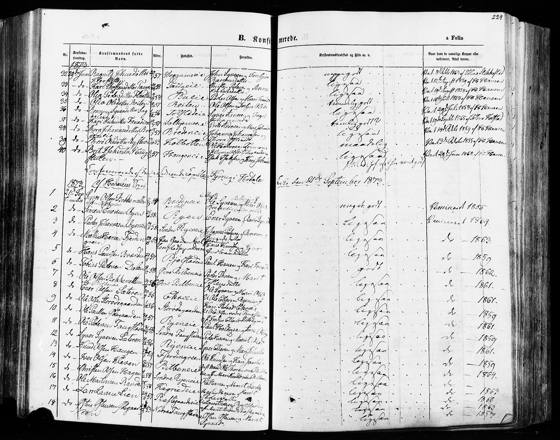 Vågå prestekontor, AV/SAH-PREST-076/H/Ha/Haa/L0007: Parish register (official) no. 7 /1, 1872-1886, p. 224