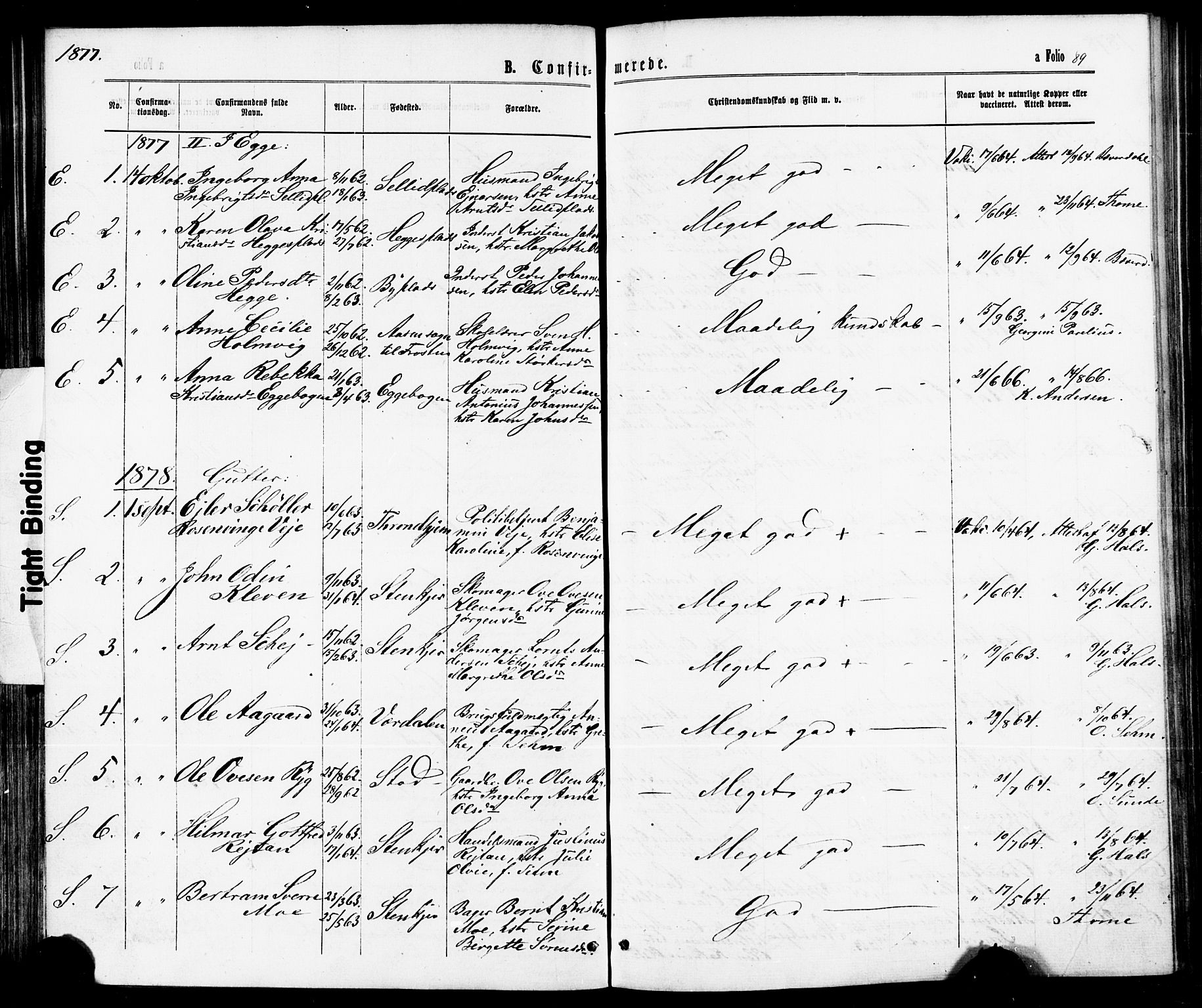 Ministerialprotokoller, klokkerbøker og fødselsregistre - Nord-Trøndelag, SAT/A-1458/739/L0370: Parish register (official) no. 739A02, 1868-1881, p. 89
