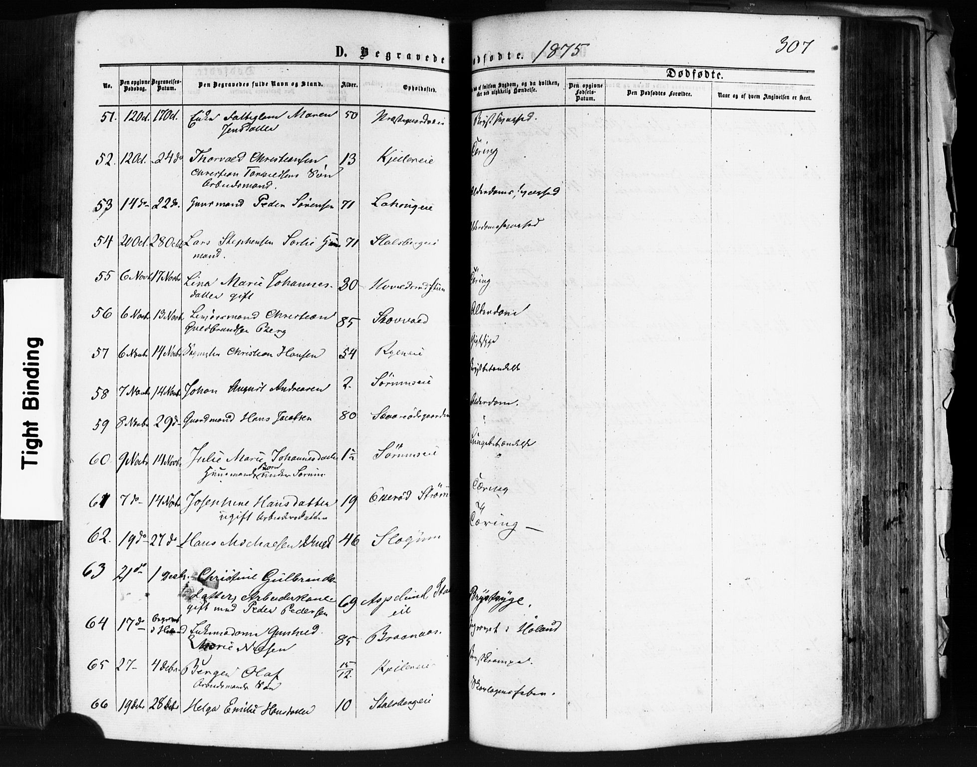 Skedsmo prestekontor Kirkebøker, AV/SAO-A-10033a/F/Fa/L0011: Parish register (official) no. I 11, 1866-1876, p. 307