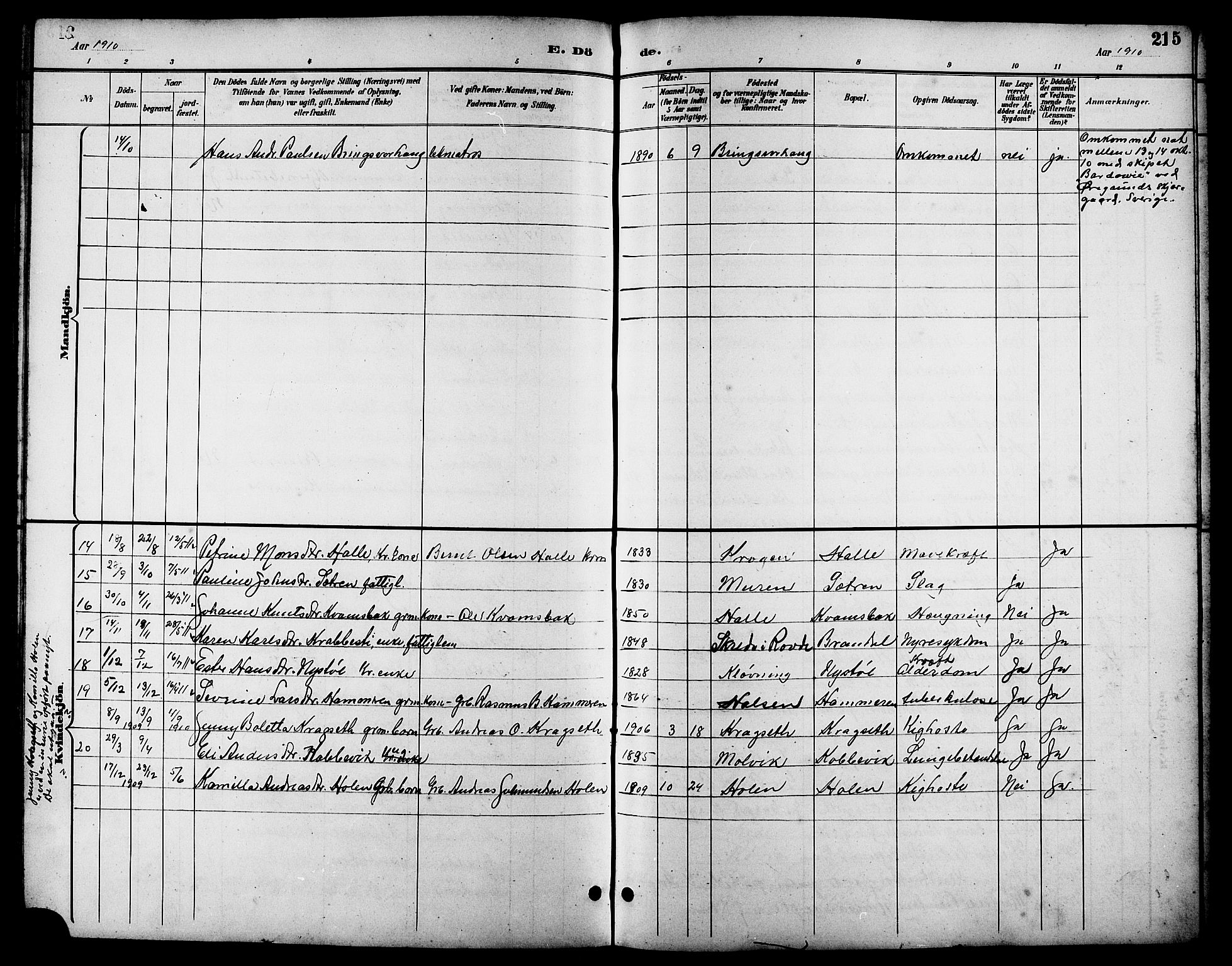 Ministerialprotokoller, klokkerbøker og fødselsregistre - Møre og Romsdal, AV/SAT-A-1454/503/L0049: Parish register (copy) no. 503C04, 1894-1915, p. 215