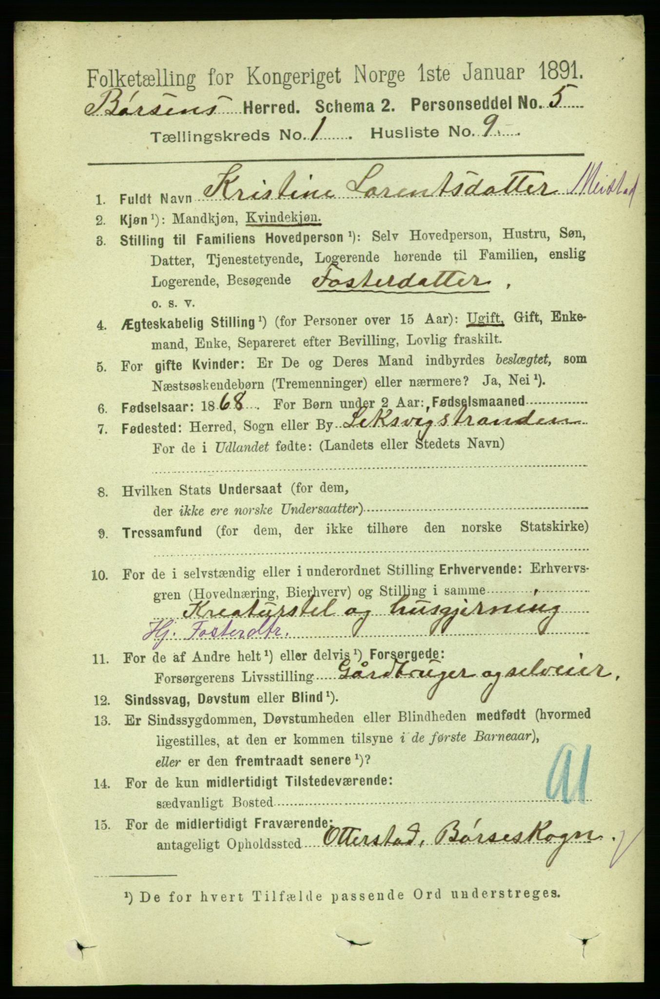RA, 1891 census for 1658 Børsa, 1891, p. 138