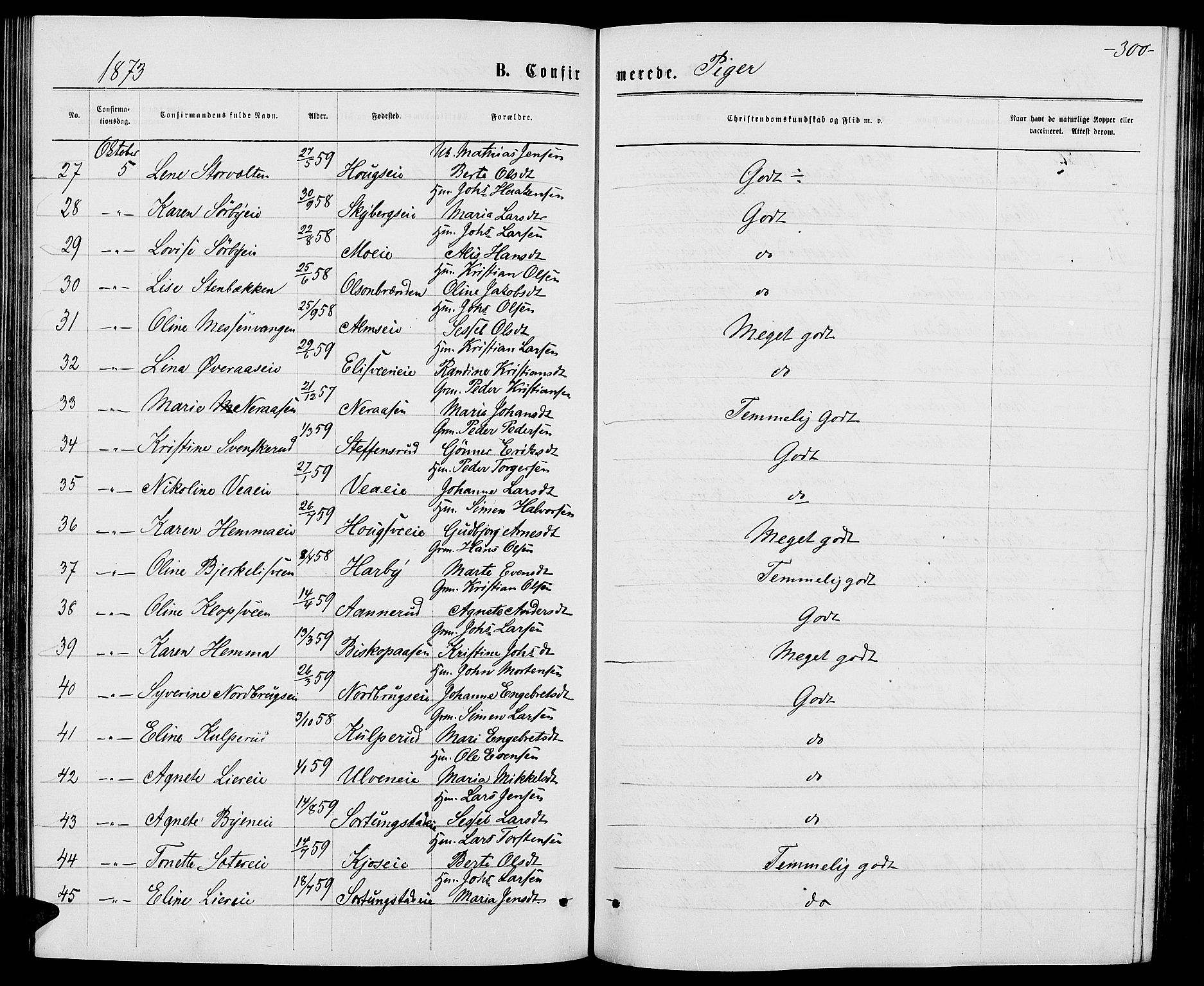 Ringsaker prestekontor, AV/SAH-PREST-014/L/La/L0008: Parish register (copy) no. 8, 1870-1878, p. 300