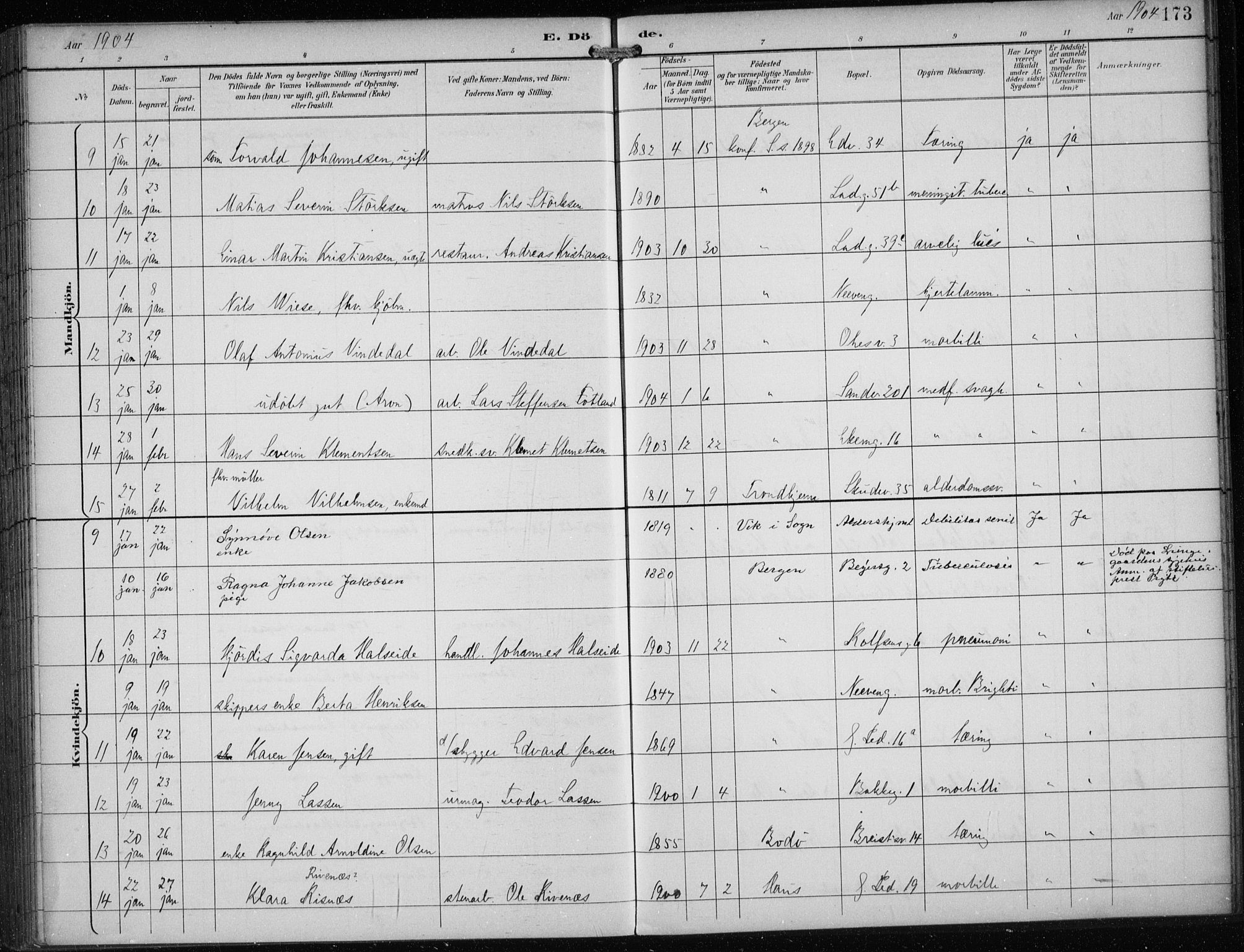 Sandviken Sokneprestembete, AV/SAB-A-77601/H/Ha/L0018: Parish register (official) no. E 1, 1893-1905, p. 173