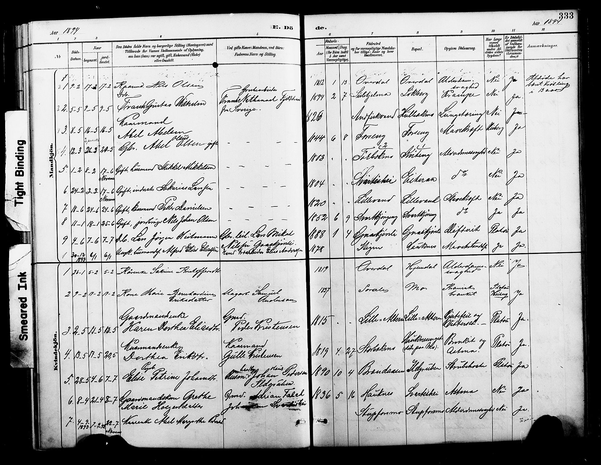 Ministerialprotokoller, klokkerbøker og fødselsregistre - Nordland, AV/SAT-A-1459/827/L0421: Parish register (copy) no. 827C10, 1887-1906, p. 333