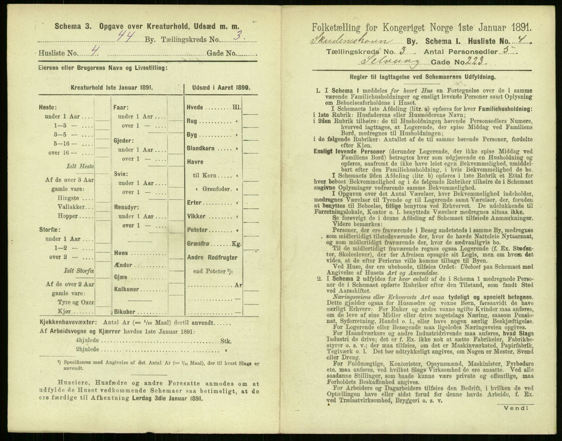 RA, 1891 census for 1104 Skudeneshavn, 1891, p. 198