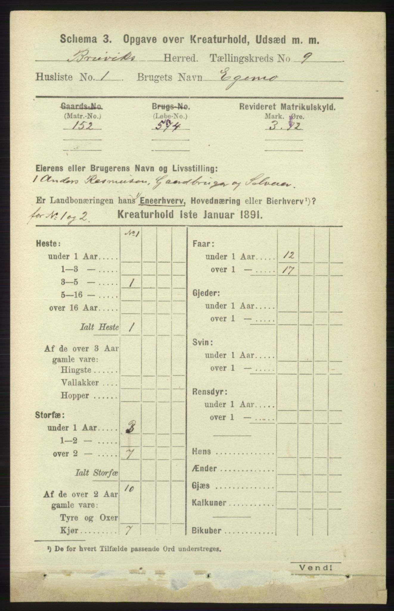 RA, 1891 census for 1251 Bruvik, 1891, p. 4801