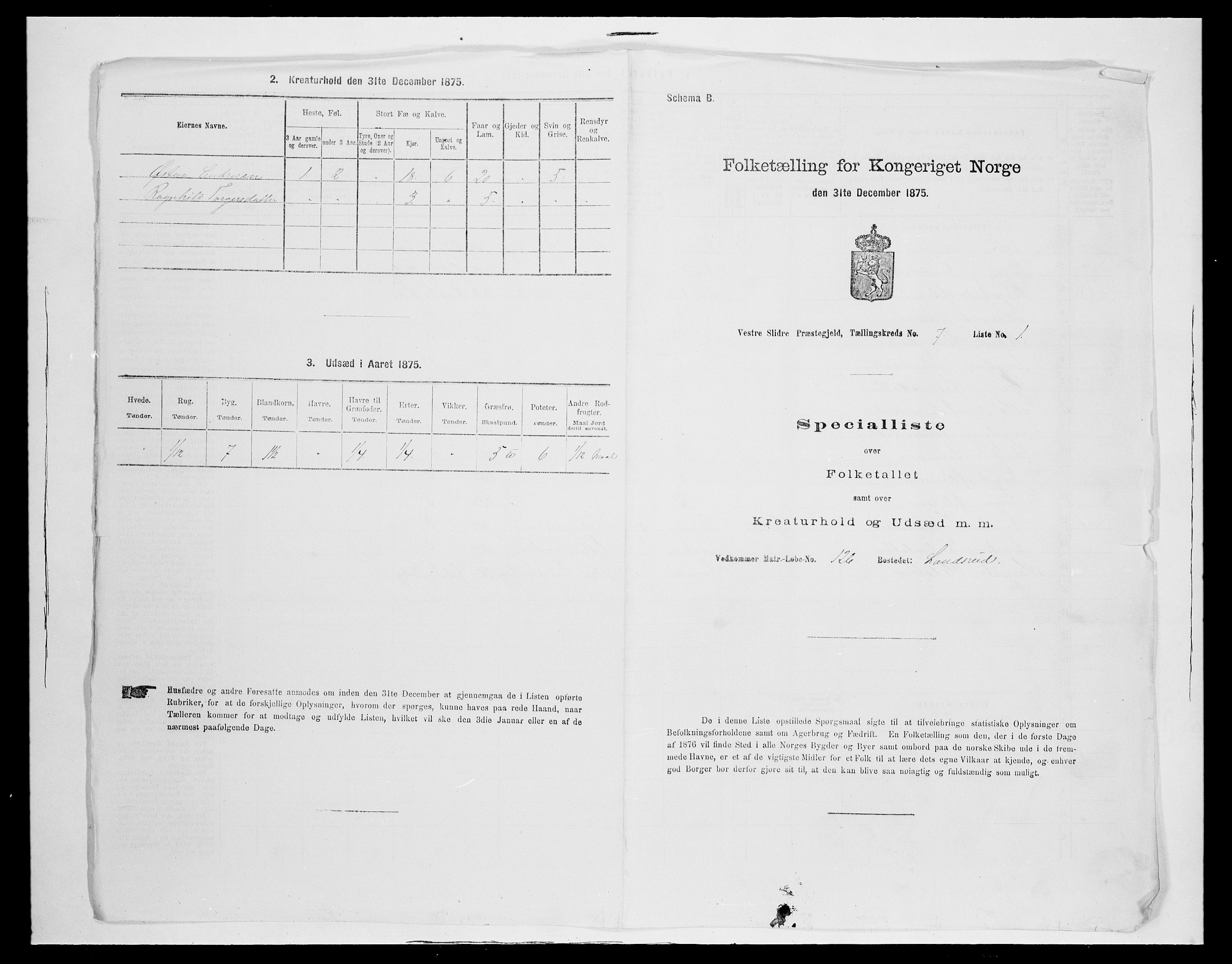 SAH, 1875 census for 0543P Vestre Slidre, 1875, p. 878