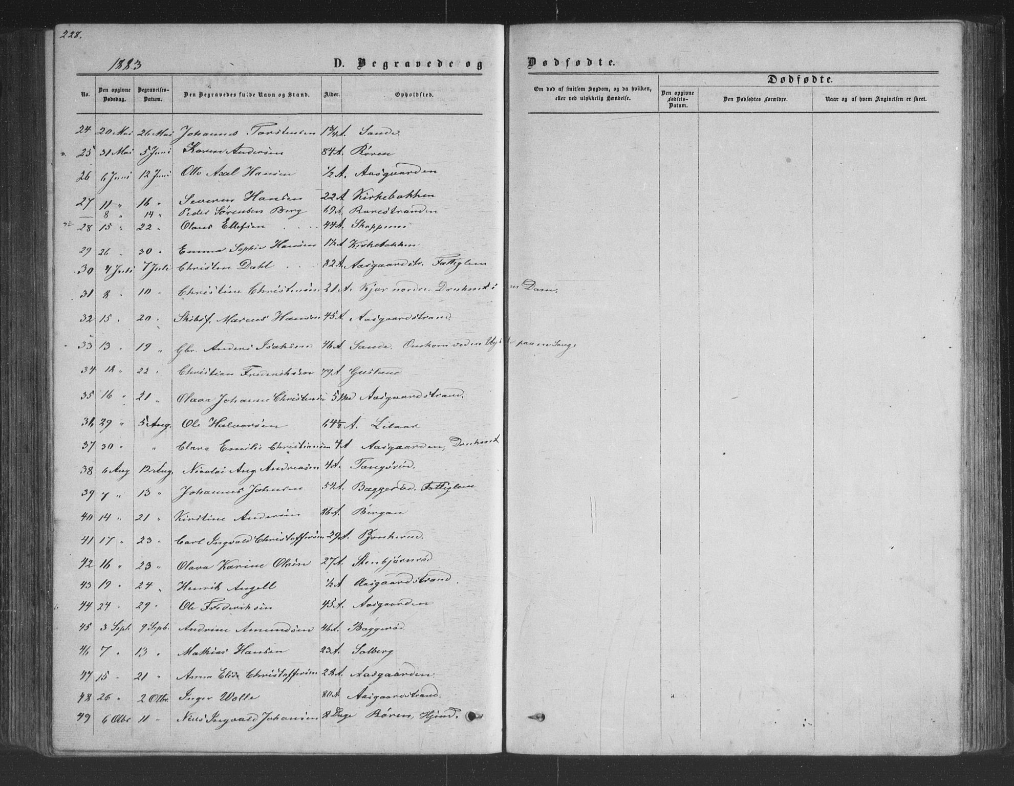 Borre kirkebøker, SAKO/A-338/G/Ga/L0003: Parish register (copy) no. I 3, 1871-1892, p. 228