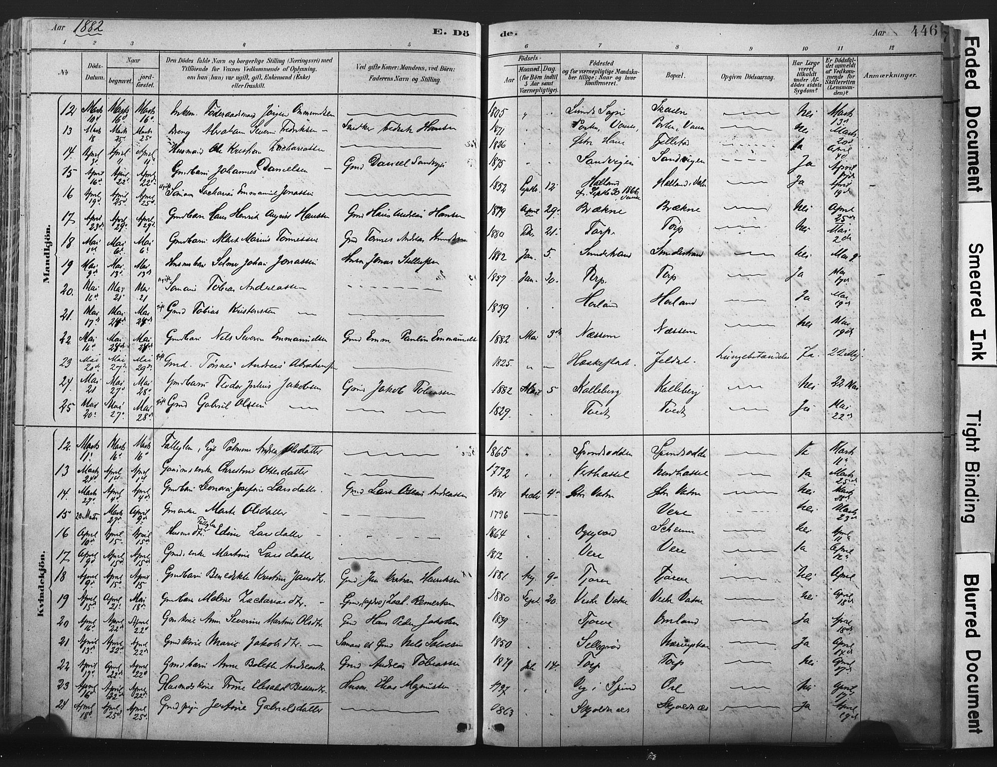 Lista sokneprestkontor, AV/SAK-1111-0027/F/Fa/L0012: Parish register (official) no. A 12, 1879-1903, p. 446