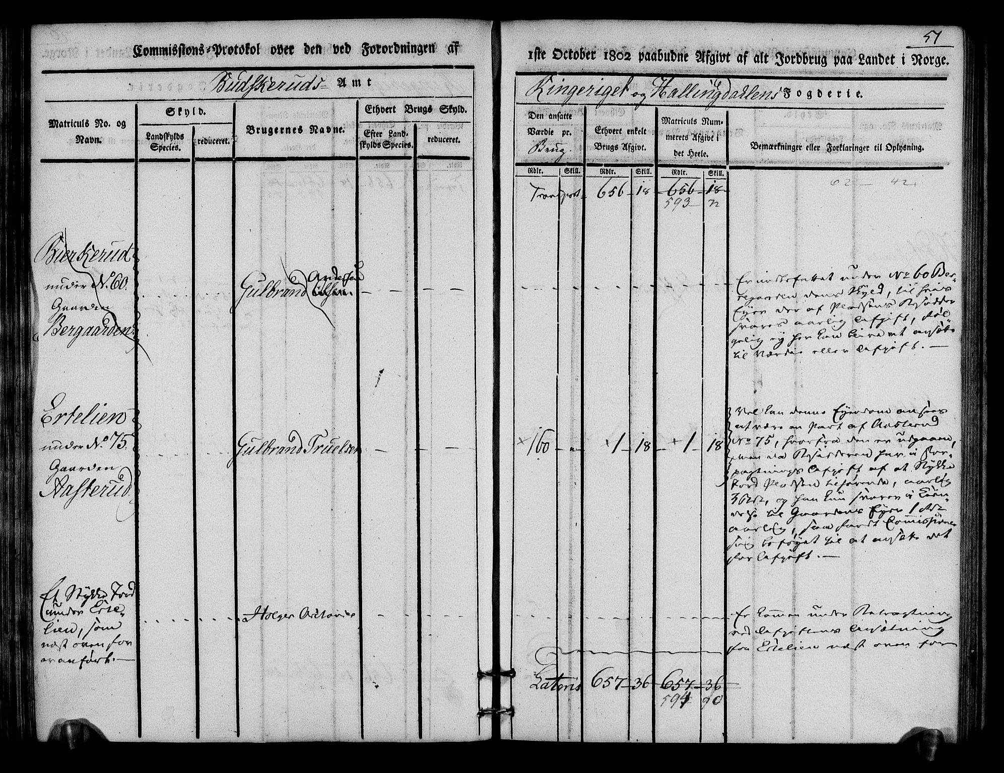 Rentekammeret inntil 1814, Realistisk ordnet avdeling, AV/RA-EA-4070/N/Ne/Nea/L0046: Ringerike og Hallingdal fogderi. Kommisjonsprotokoll for Hole prestegjeld, 1803, p. 52