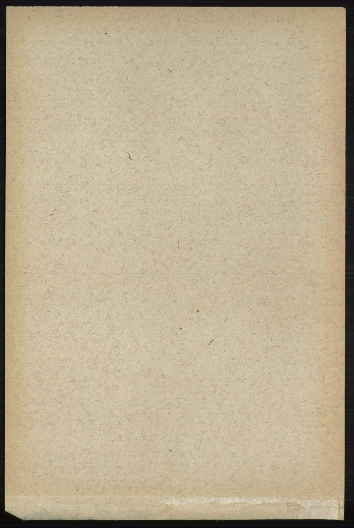 RA, 1891 census for 0712 Skoger, 1891, p. 4986