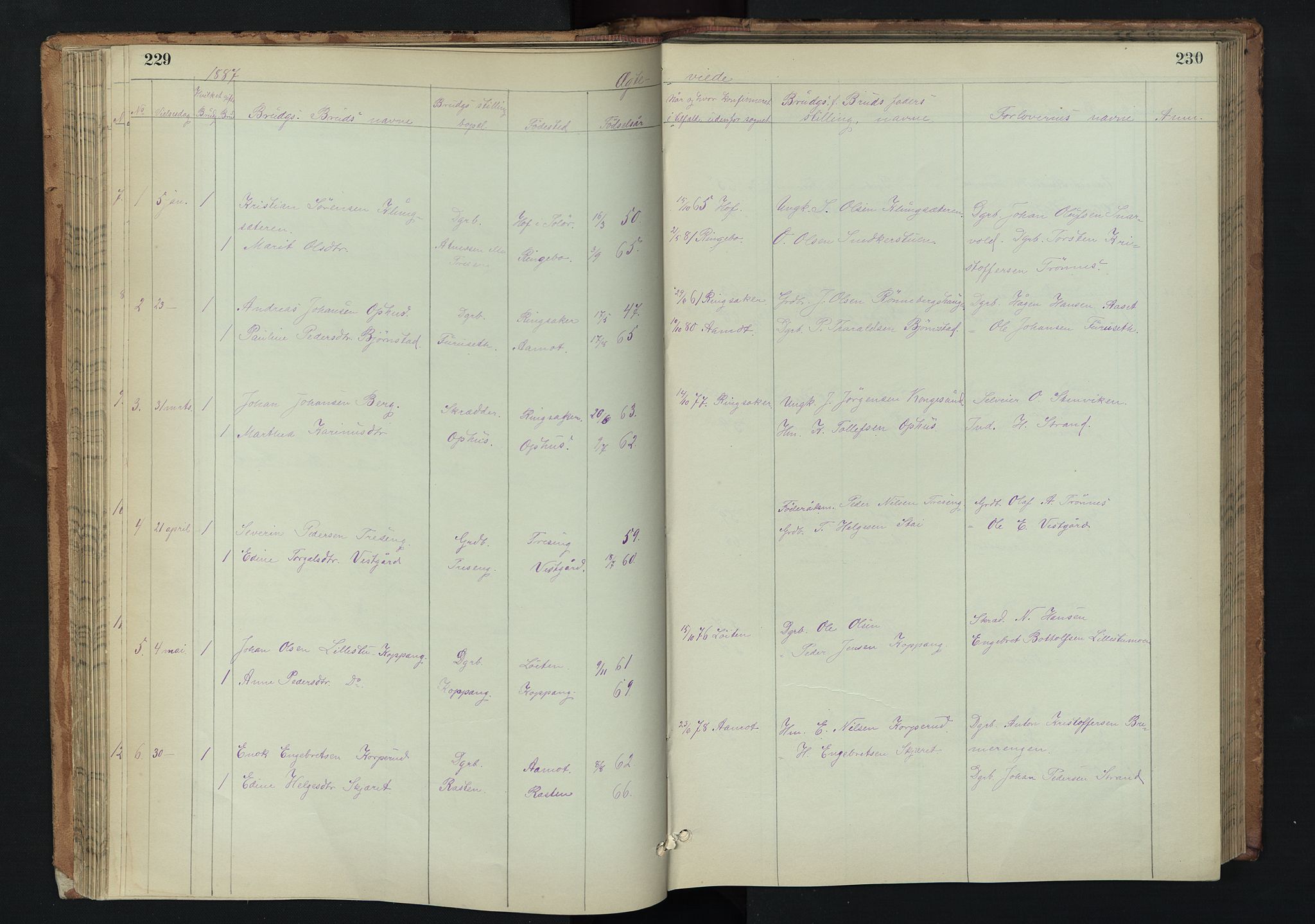 Stor-Elvdal prestekontor, AV/SAH-PREST-052/H/Ha/Hab/L0002: Parish register (copy) no. 2, 1860-1894, p. 229-230