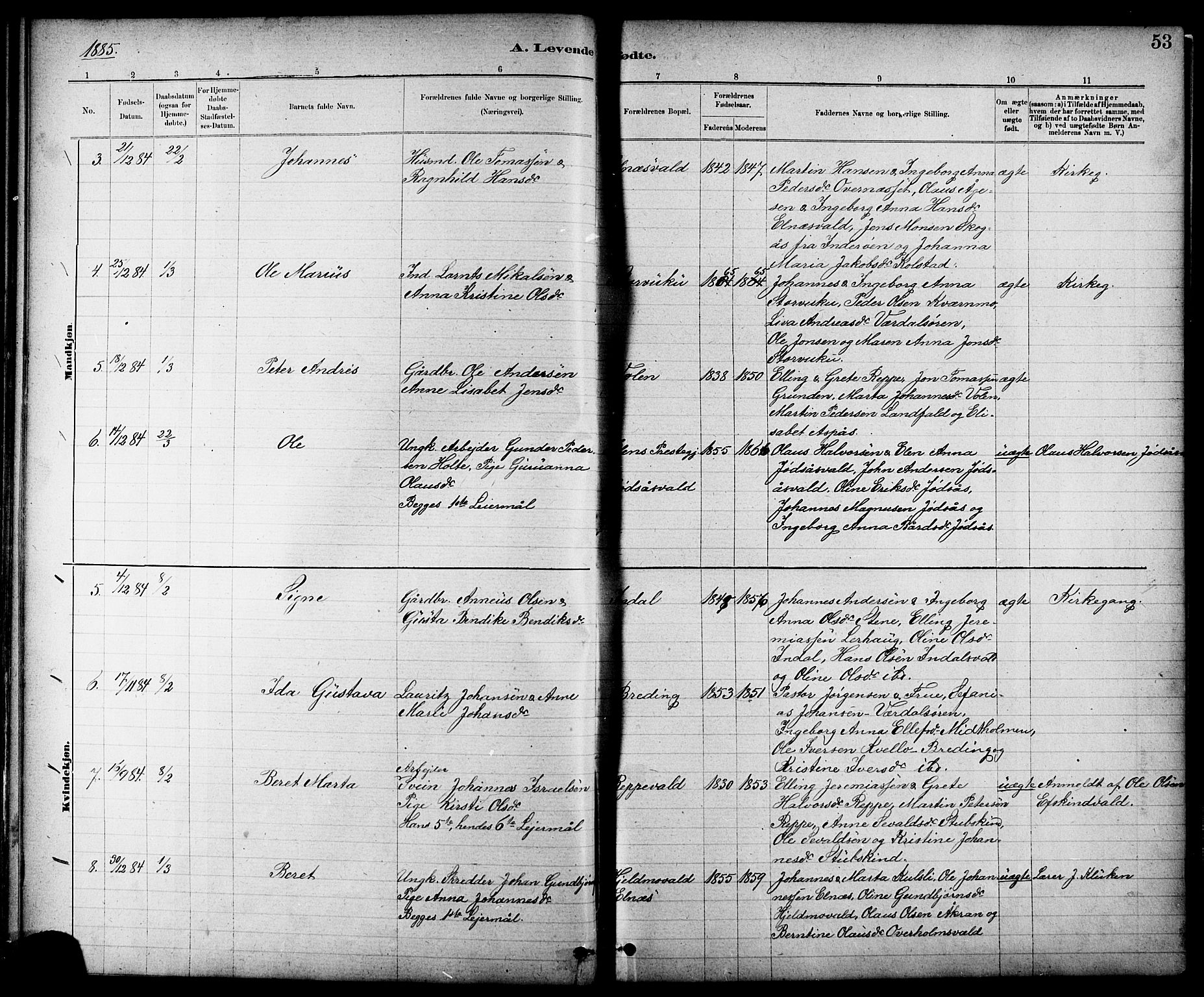 Ministerialprotokoller, klokkerbøker og fødselsregistre - Nord-Trøndelag, SAT/A-1458/724/L0267: Parish register (copy) no. 724C03, 1879-1898, p. 53