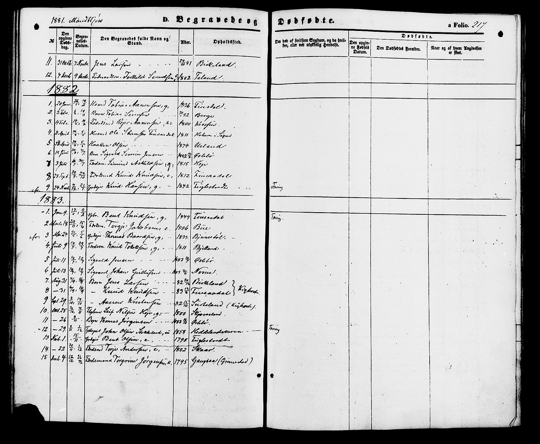 Holum sokneprestkontor, SAK/1111-0022/F/Fa/Fac/L0003: Parish register (official) no. A 3, 1860-1883, p. 217