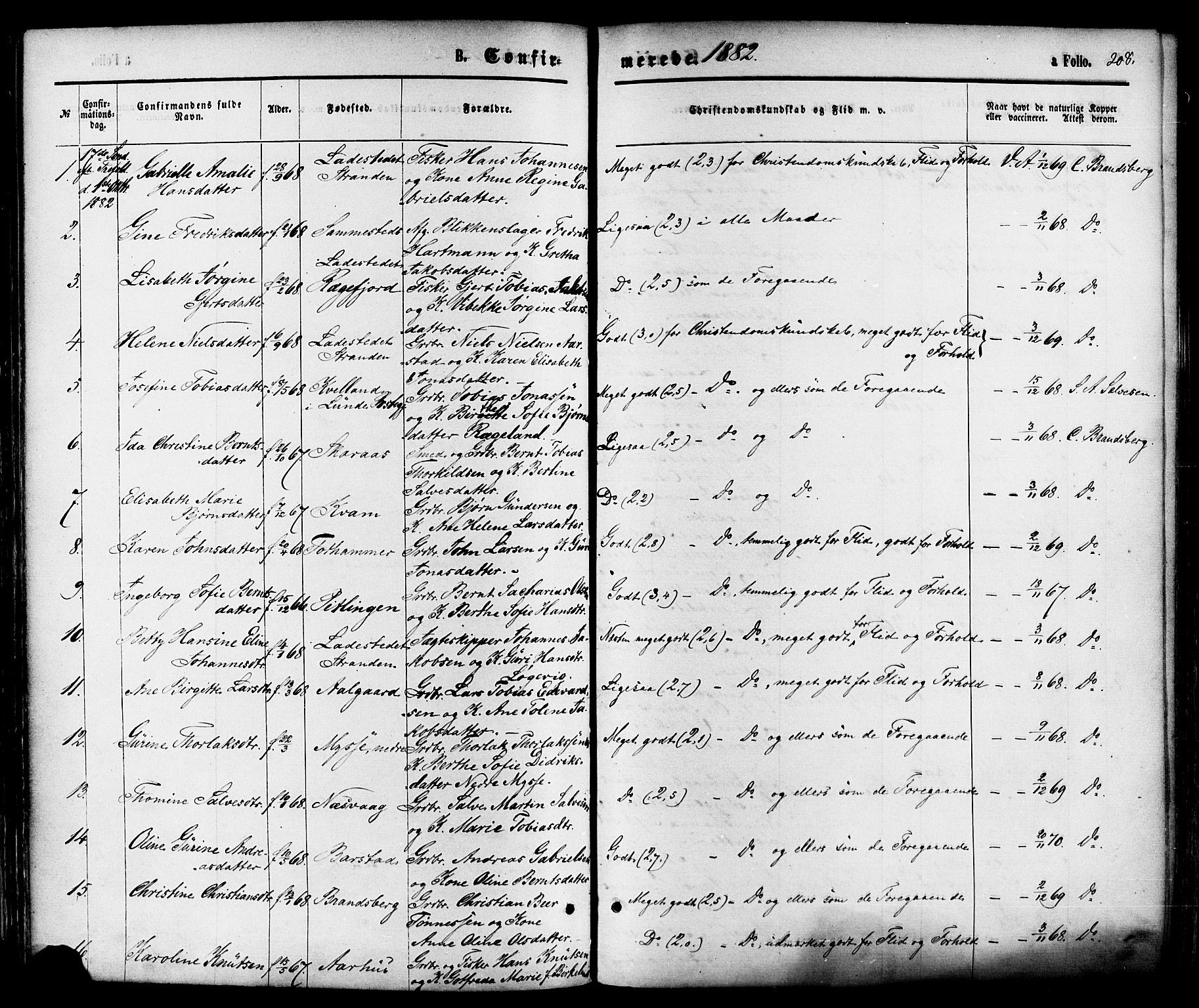 Sokndal sokneprestkontor, AV/SAST-A-101808: Parish register (official) no. A 10, 1874-1886, p. 208