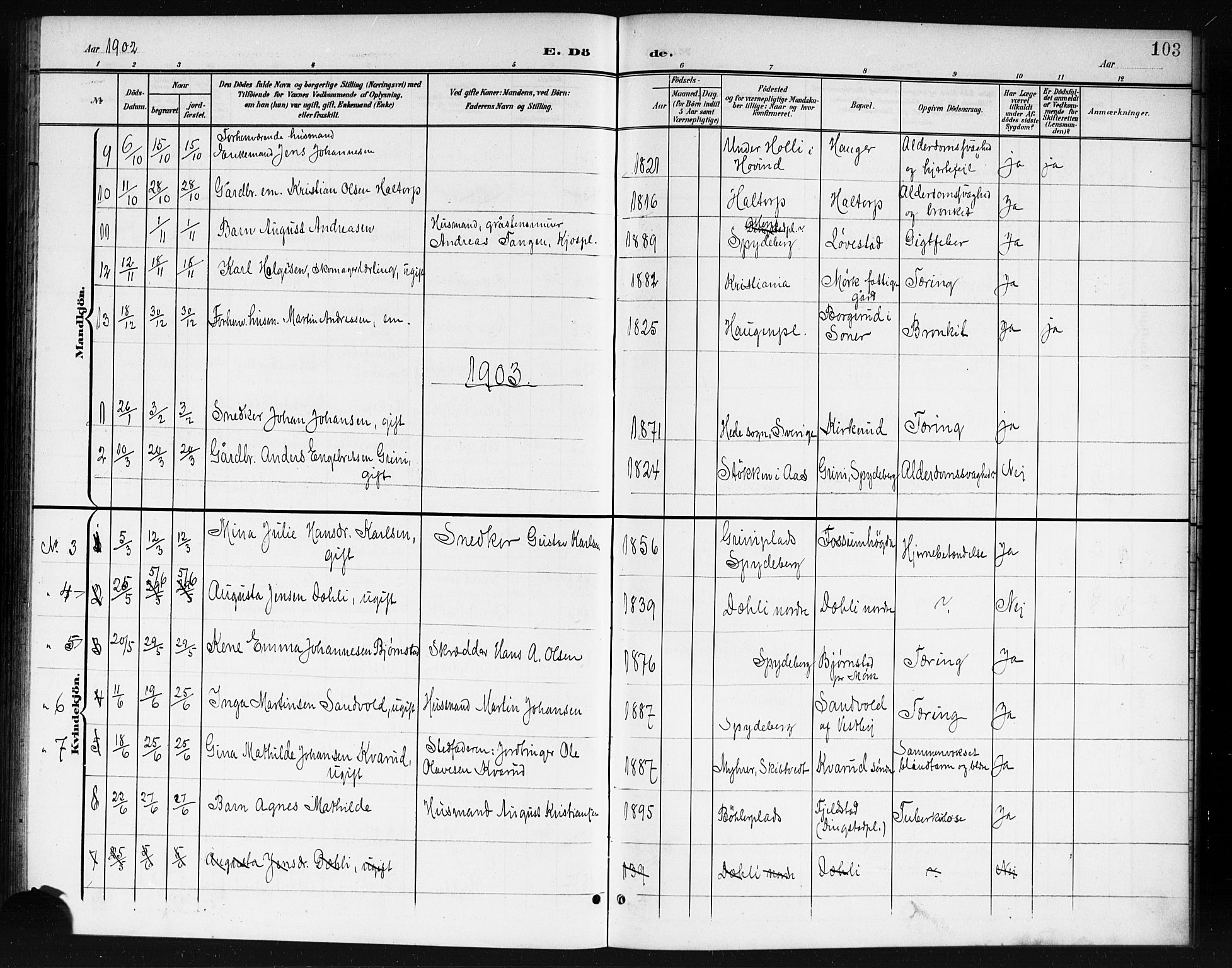 Spydeberg prestekontor Kirkebøker, AV/SAO-A-10924/G/Ga/L0002: Parish register (copy) no. I 2, 1901-1922, p. 103