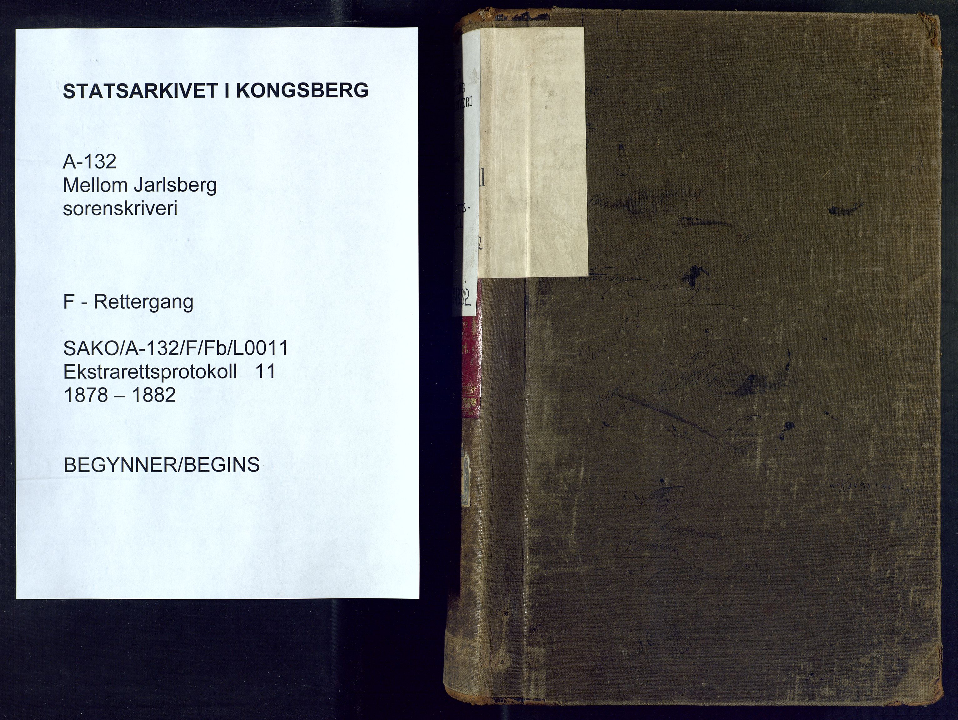 Mellom Jarlsberg sorenskriveri, SAKO/A-132/F/Fb/L0011: Ekstrarettsprotokoll, 1878-1882