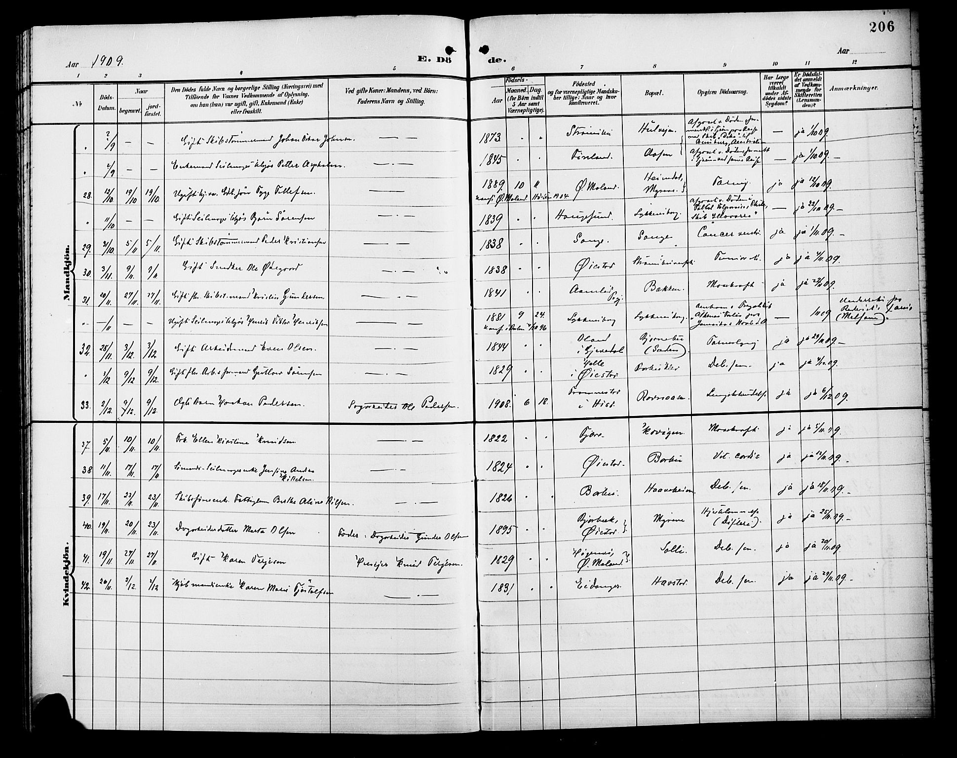 Barbu sokneprestkontor, AV/SAK-1111-0003/F/Fb/L0003: Parish register (copy) no. B 3, 1897-1911, p. 206