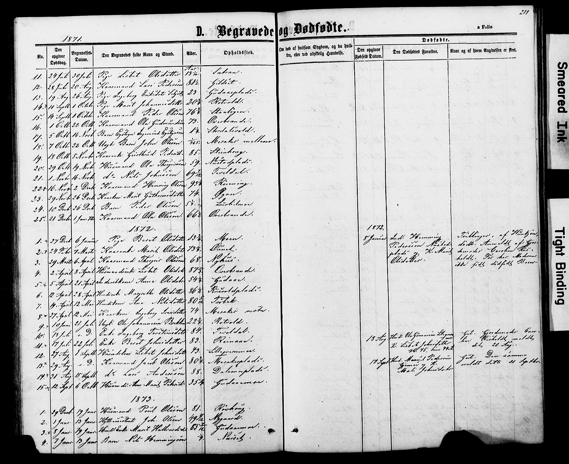 Ministerialprotokoller, klokkerbøker og fødselsregistre - Nord-Trøndelag, AV/SAT-A-1458/706/L0049: Parish register (copy) no. 706C01, 1864-1895, p. 211