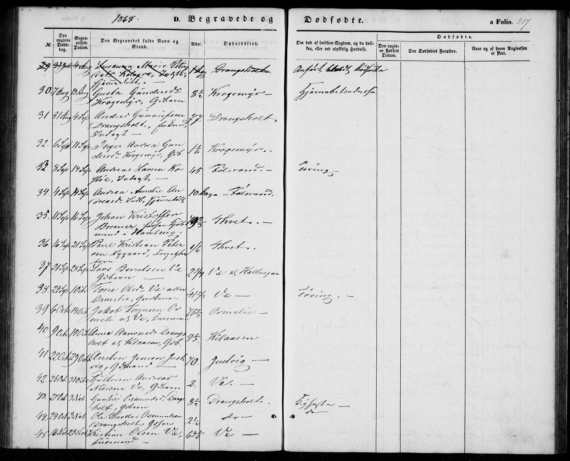 Tveit sokneprestkontor, AV/SAK-1111-0043/F/Fa/L0005: Parish register (official) no. A 5, 1853-1871, p. 217