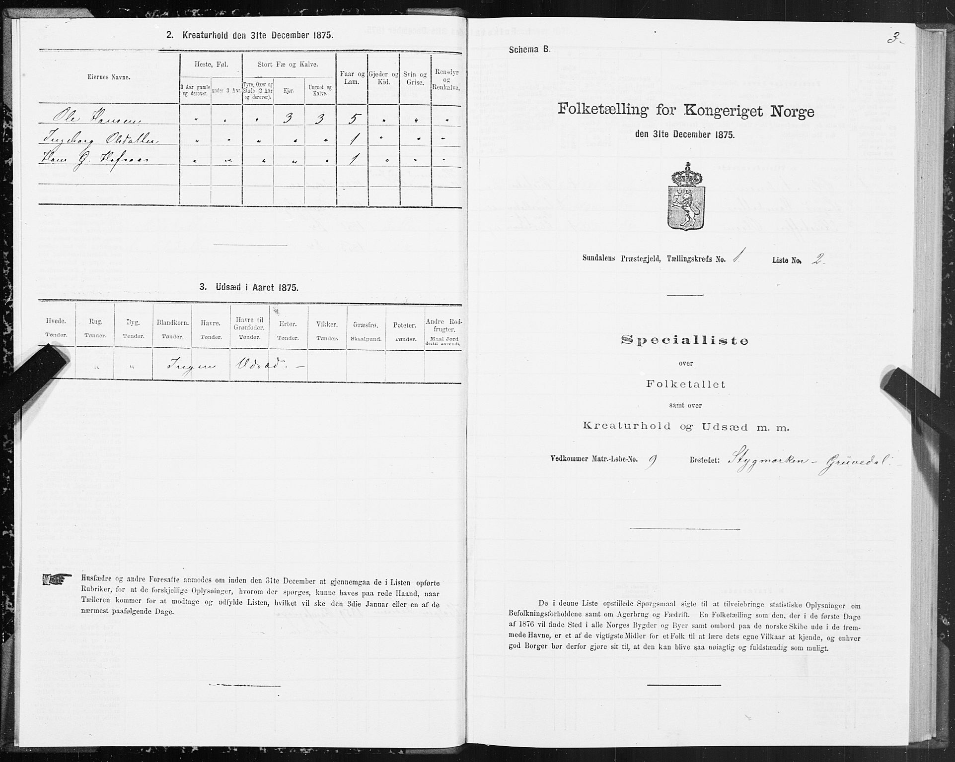 SAT, 1875 census for 1563P Sunndal, 1875, p. 1003