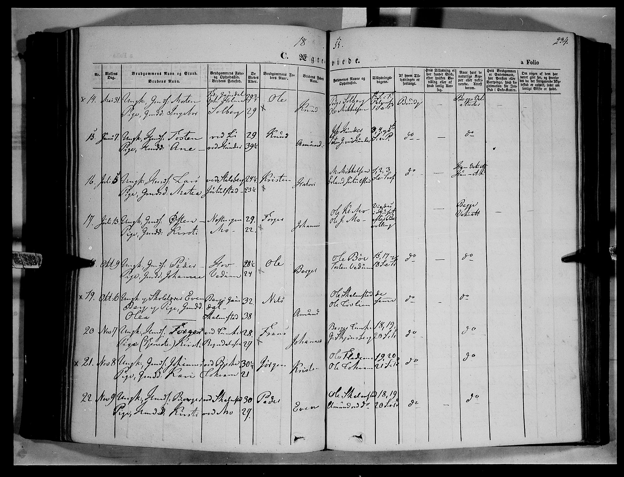 Øyer prestekontor, SAH/PREST-084/H/Ha/Haa/L0005: Parish register (official) no. 5, 1842-1857, p. 234