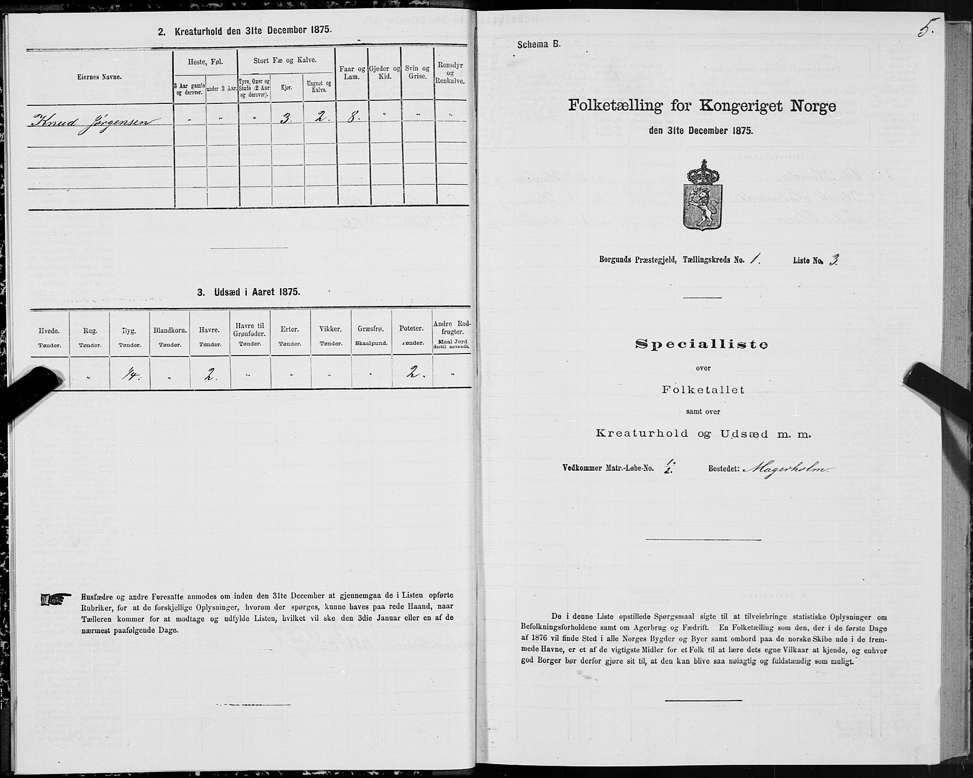 SAT, 1875 census for 1531P Borgund, 1875, p. 1005