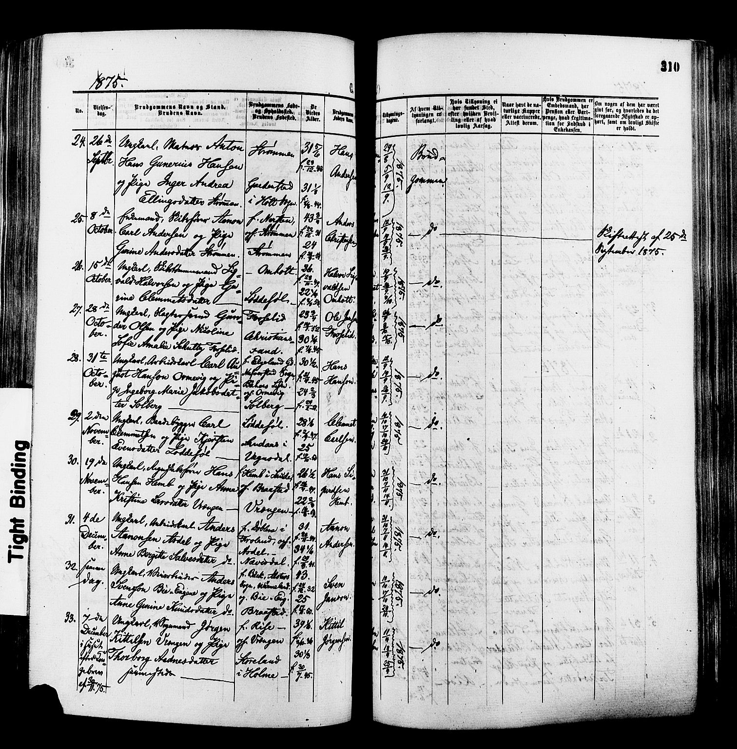 Øyestad sokneprestkontor, AV/SAK-1111-0049/F/Fa/L0016: Parish register (official) no. A 16, 1874-1886, p. 310