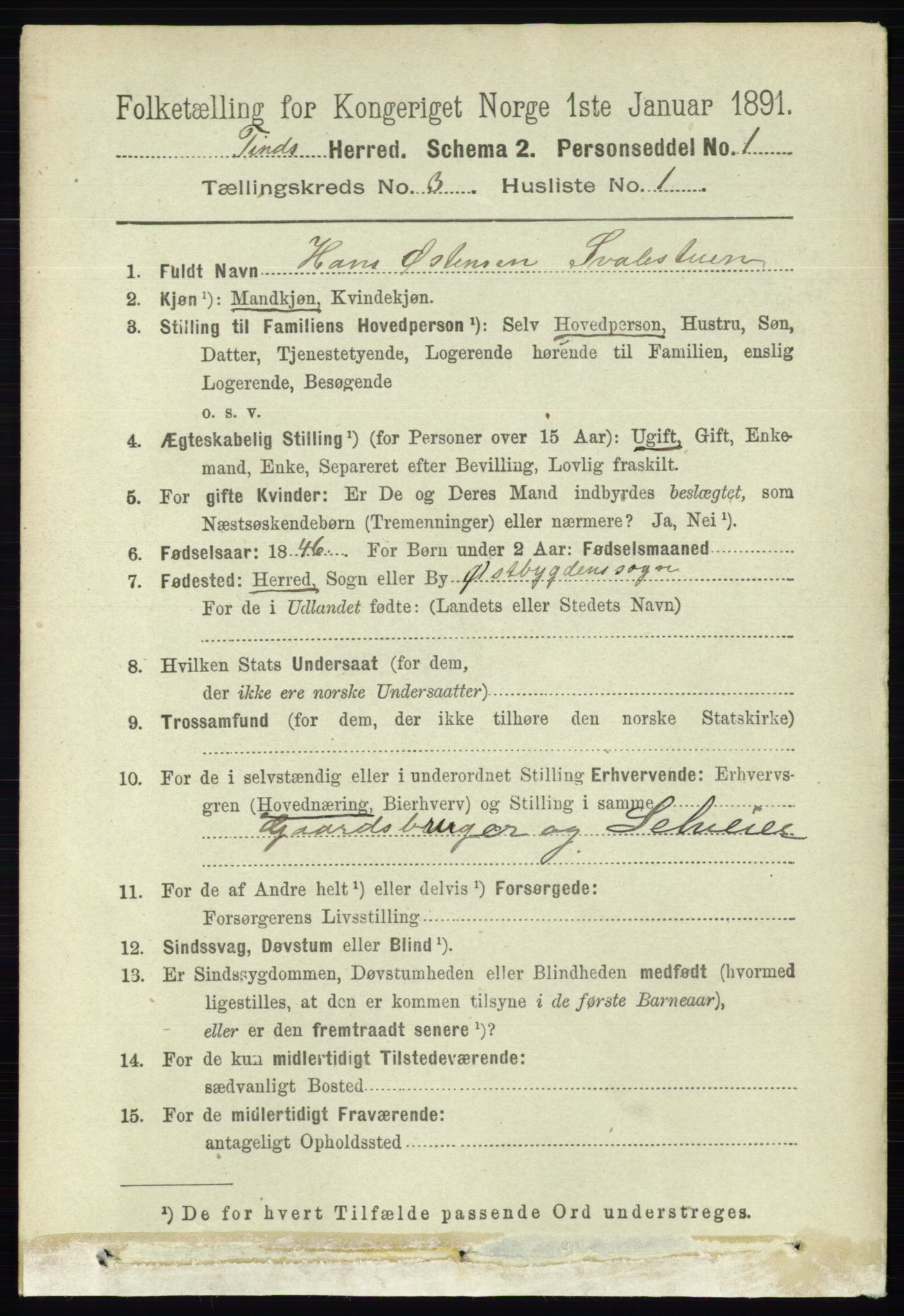 RA, 1891 census for 0826 Tinn, 1891, p. 504