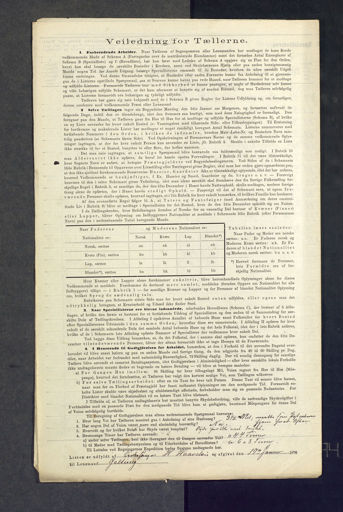 SAKO, 1875 census for 0616P Nes, 1875, p. 37