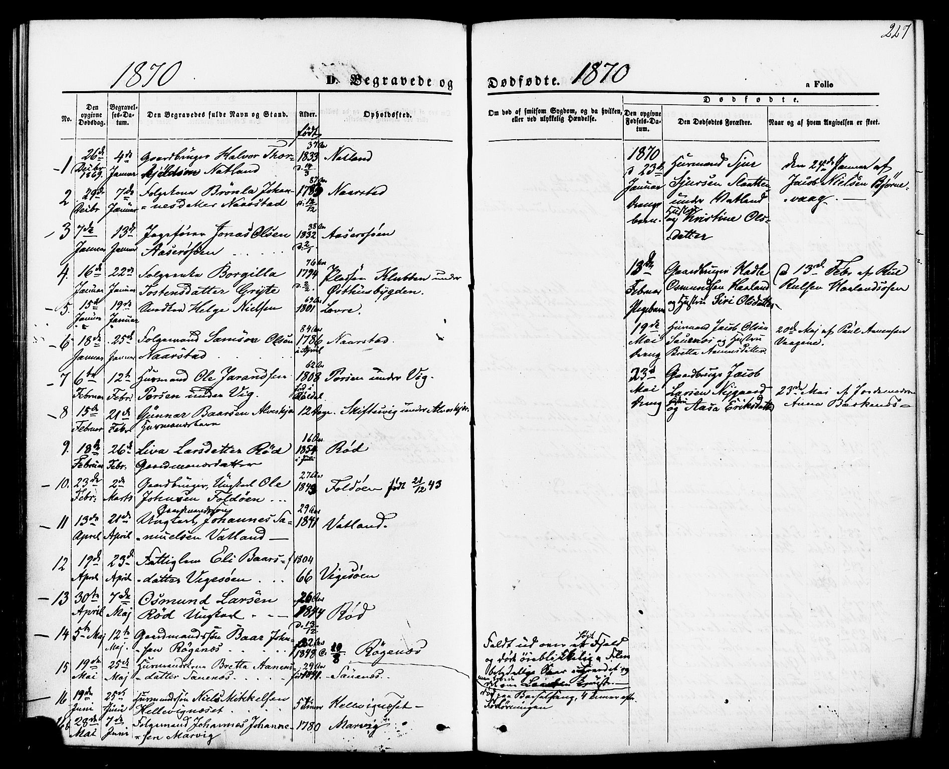 Jelsa sokneprestkontor, SAST/A-101842/01/IV: Parish register (official) no. A 8, 1867-1883, p. 227