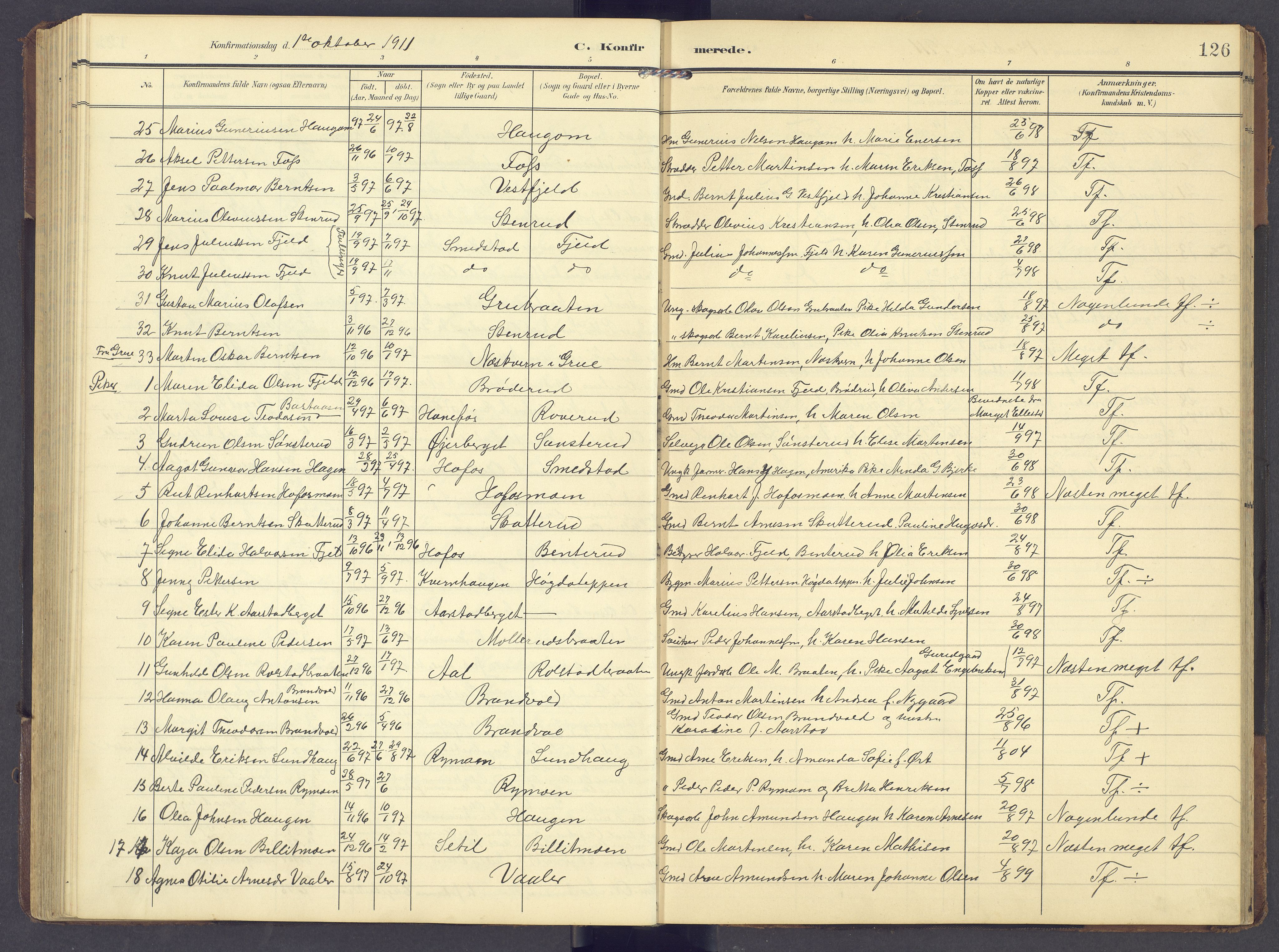 Brandval prestekontor, AV/SAH-PREST-034/H/Ha/Hab/L0003: Parish register (copy) no. 3, 1904-1917, p. 126