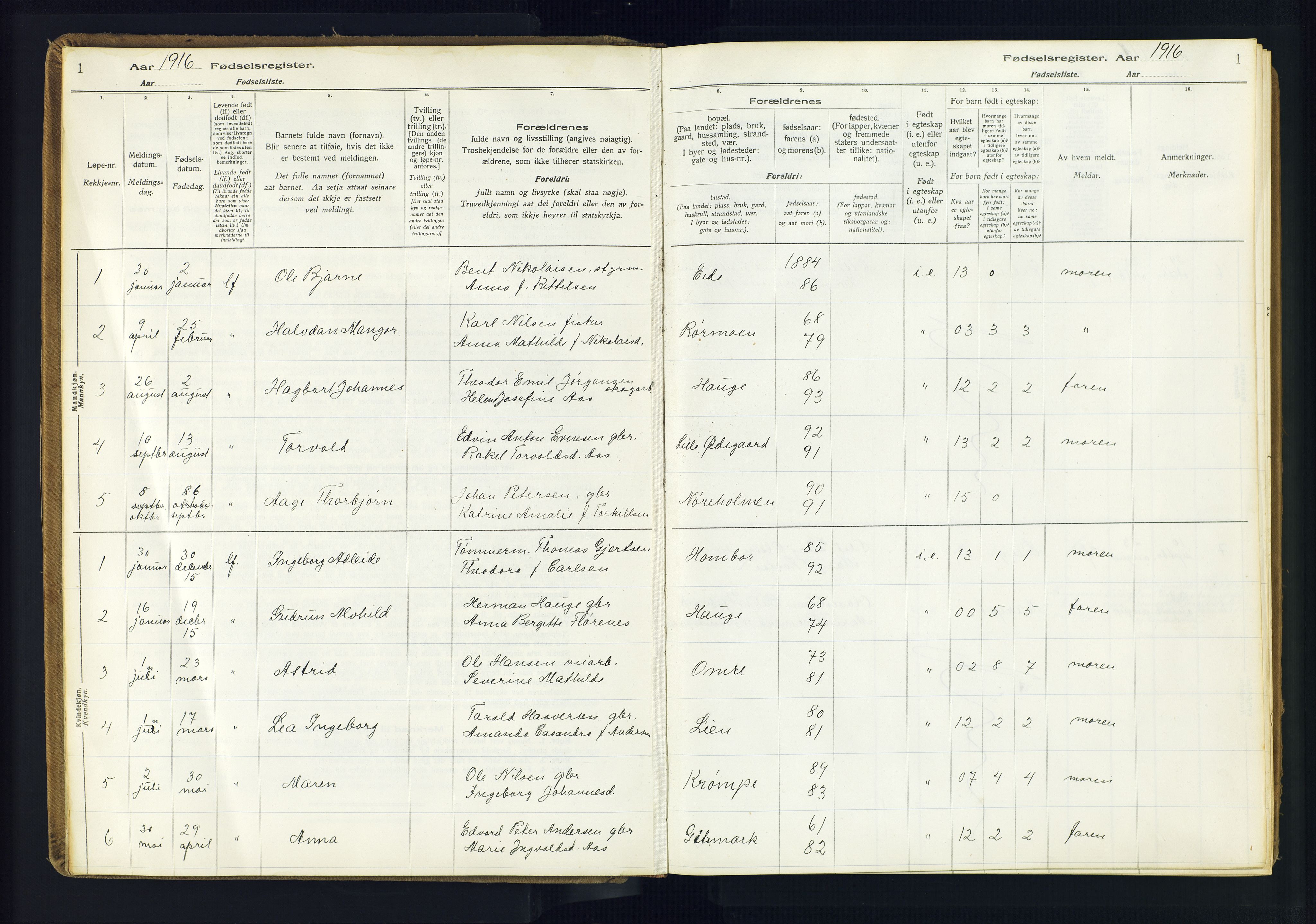 Hommedal sokneprestkontor, AV/SAK-1111-0023/J/Jd/L0003: Birth register no. 3, 1916-1982, p. 1