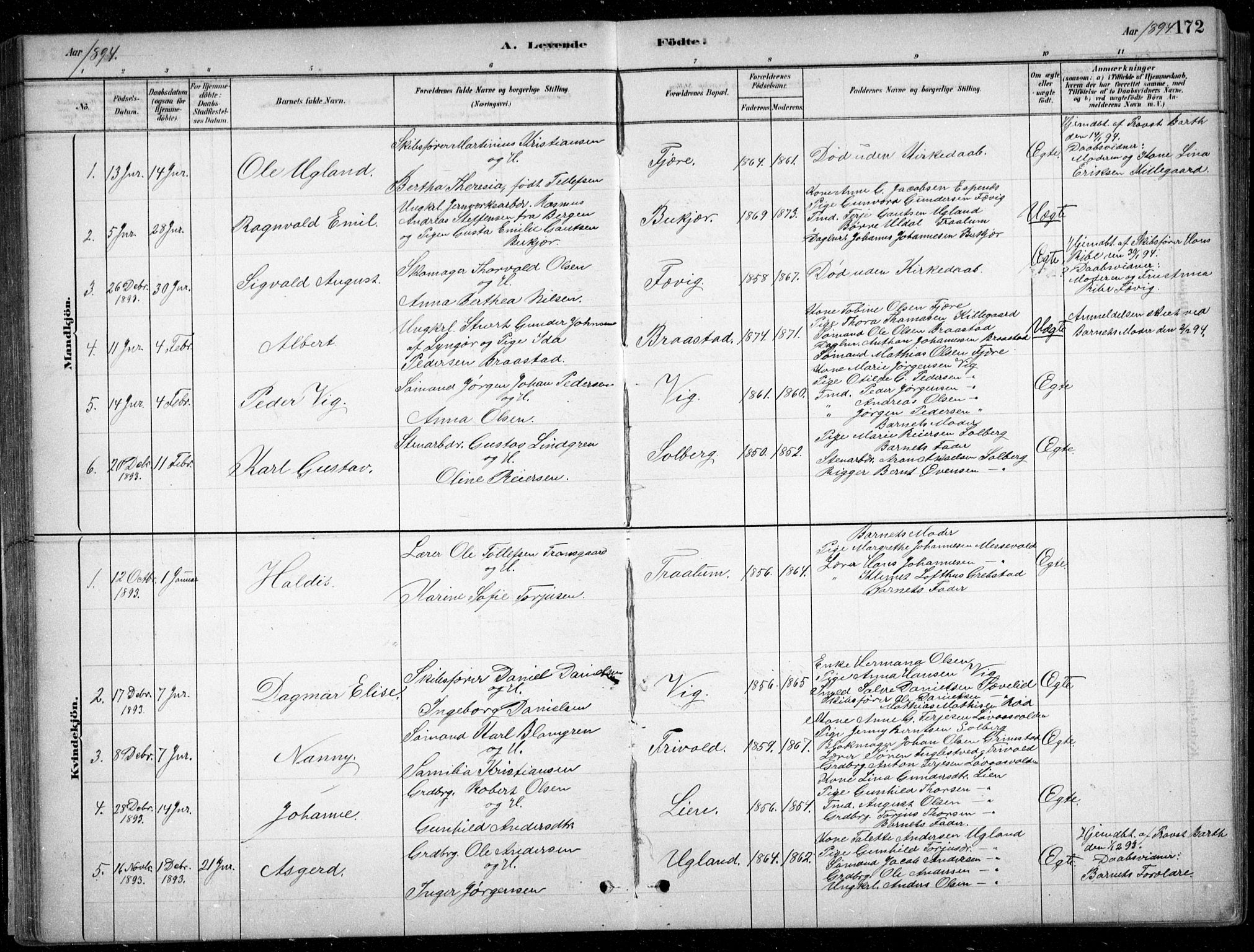 Fjære sokneprestkontor, AV/SAK-1111-0011/F/Fb/L0011: Parish register (copy) no. B 11, 1881-1905, p. 172