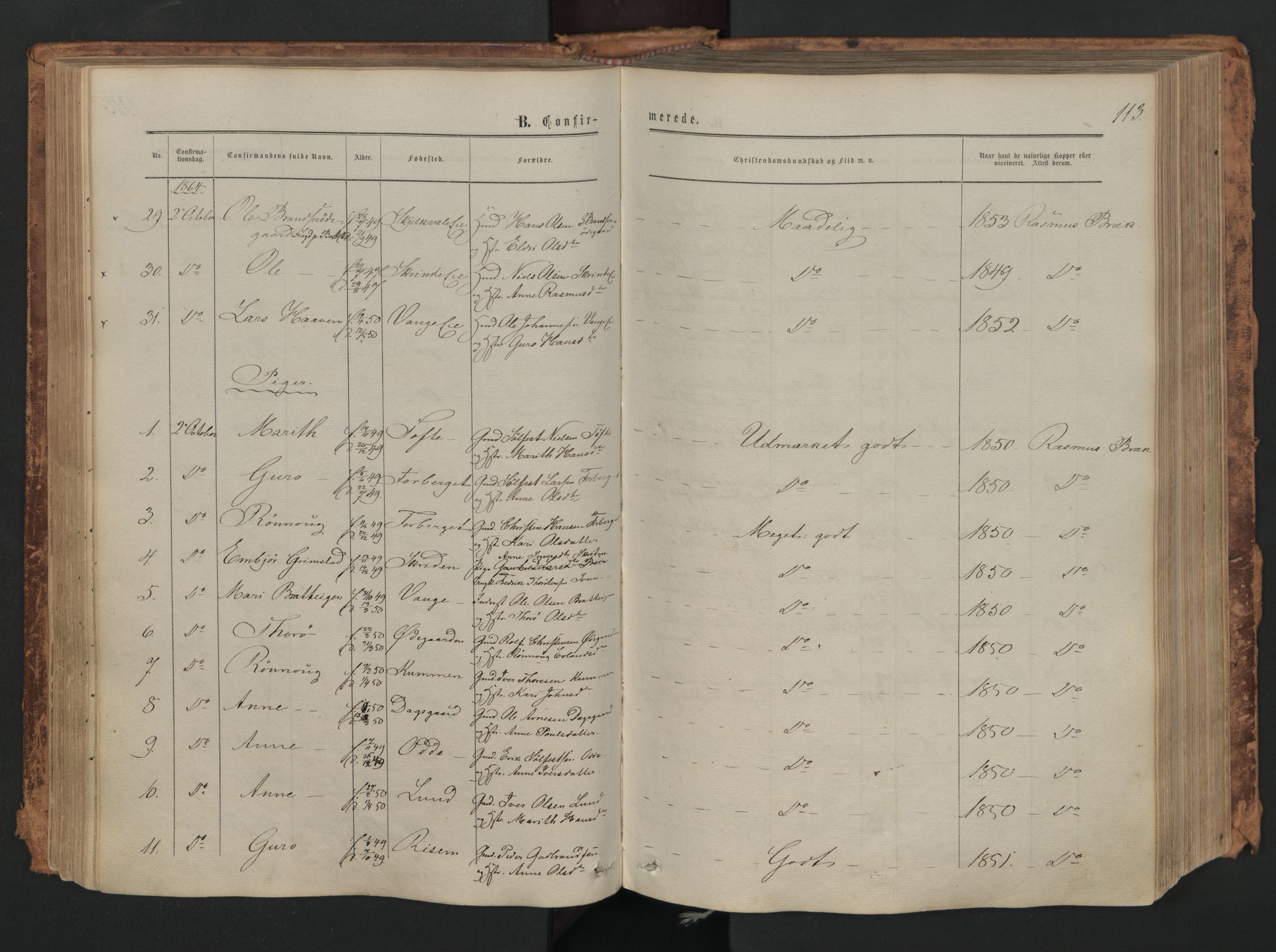 Skjåk prestekontor, SAH/PREST-072/H/Ha/Haa/L0001: Parish register (official) no. 1, 1863-1879, p. 113