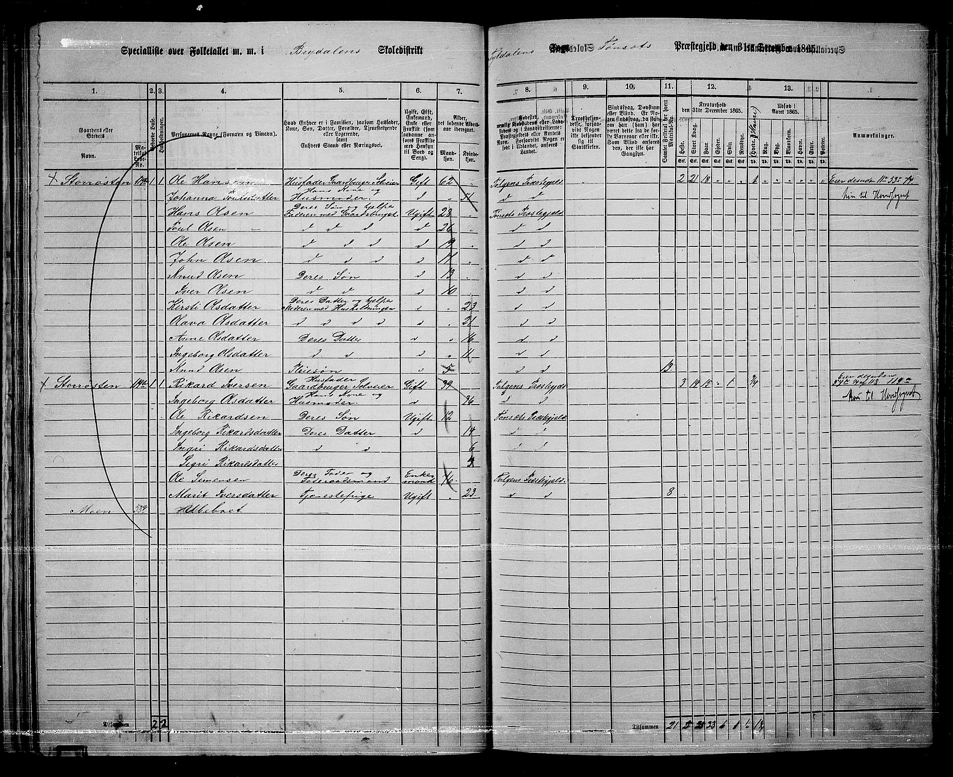 RA, 1865 census for Tynset, 1865, p. 40