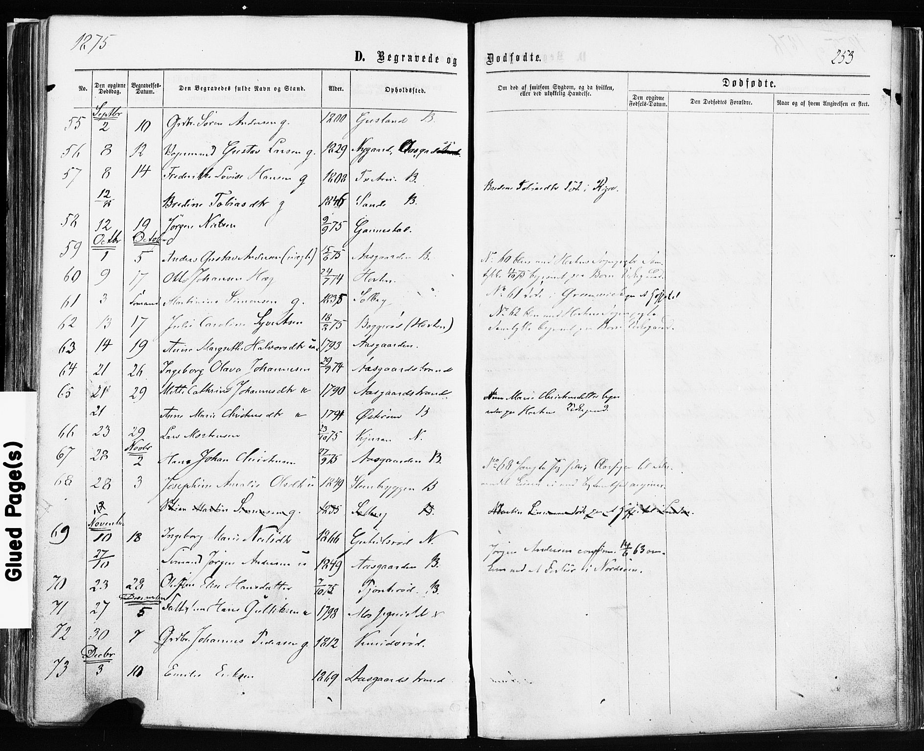 Borre kirkebøker, SAKO/A-338/F/Fa/L0008: Parish register (official) no. I 8, 1868-1877, p. 253