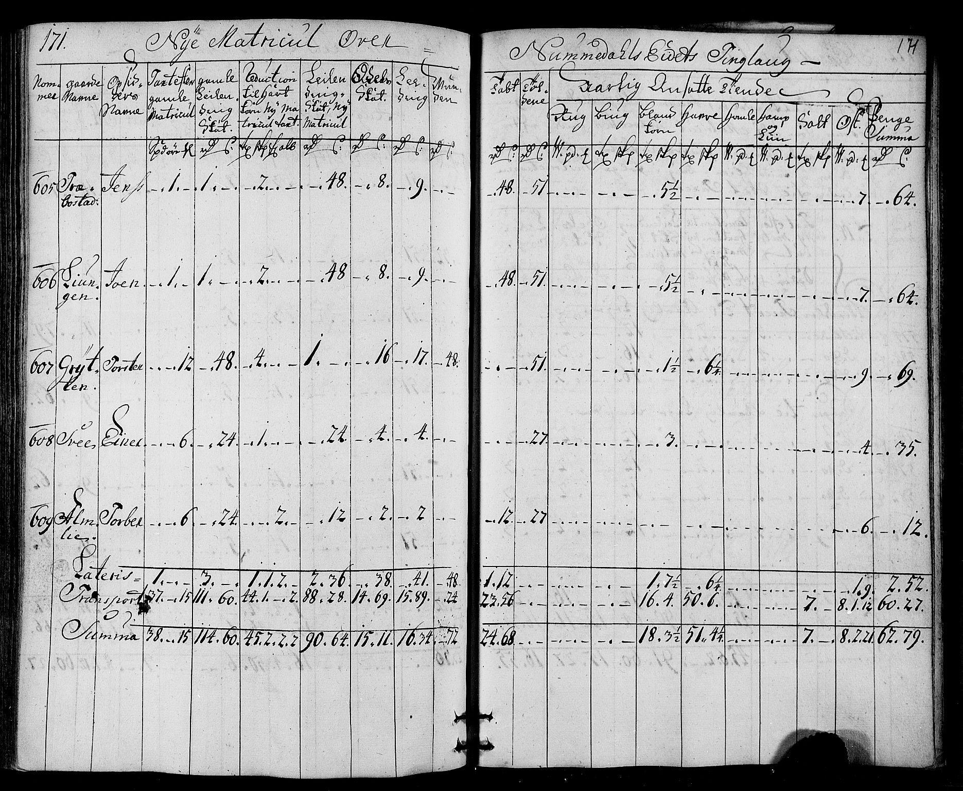 Rentekammeret inntil 1814, Realistisk ordnet avdeling, AV/RA-EA-4070/N/Nb/Nbf/L0169: Namdalen matrikkelprotokoll, 1723, p. 176