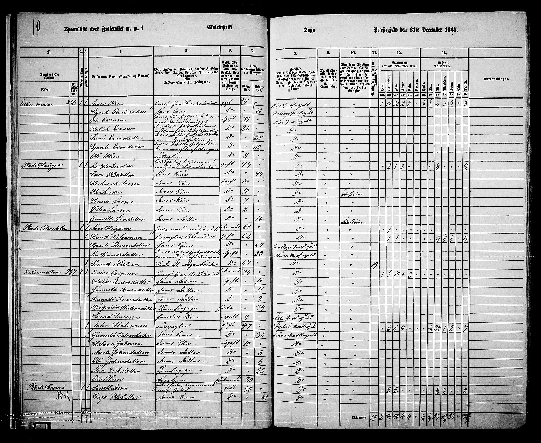 RA, 1865 census for Nore, 1865, p. 22