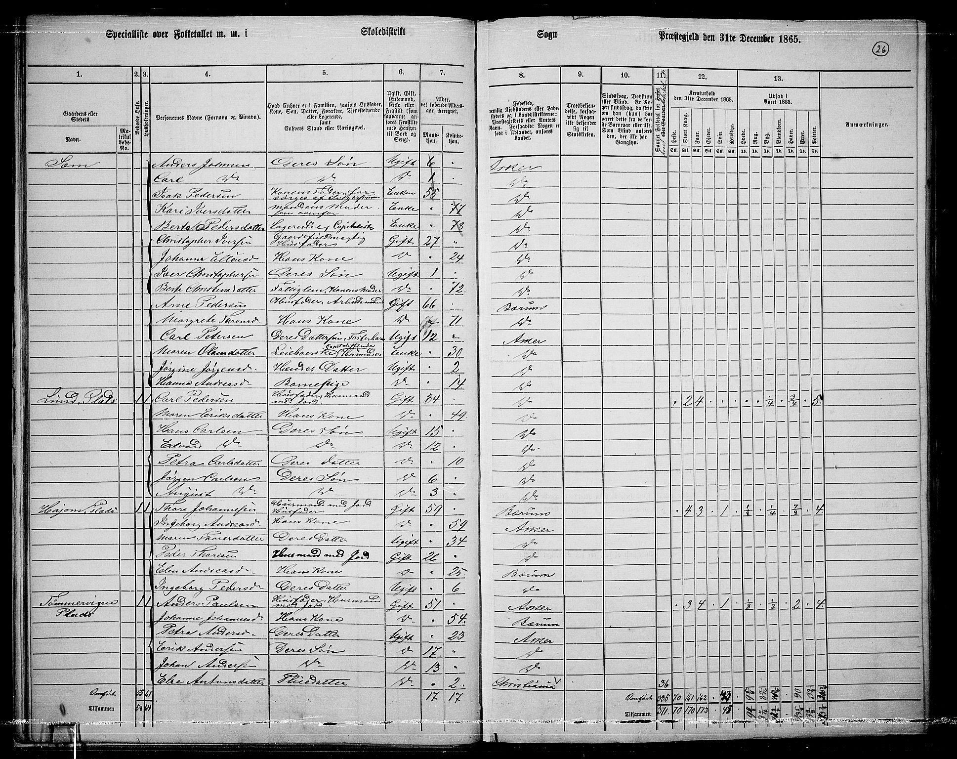 RA, 1865 census for Asker, 1865, p. 28