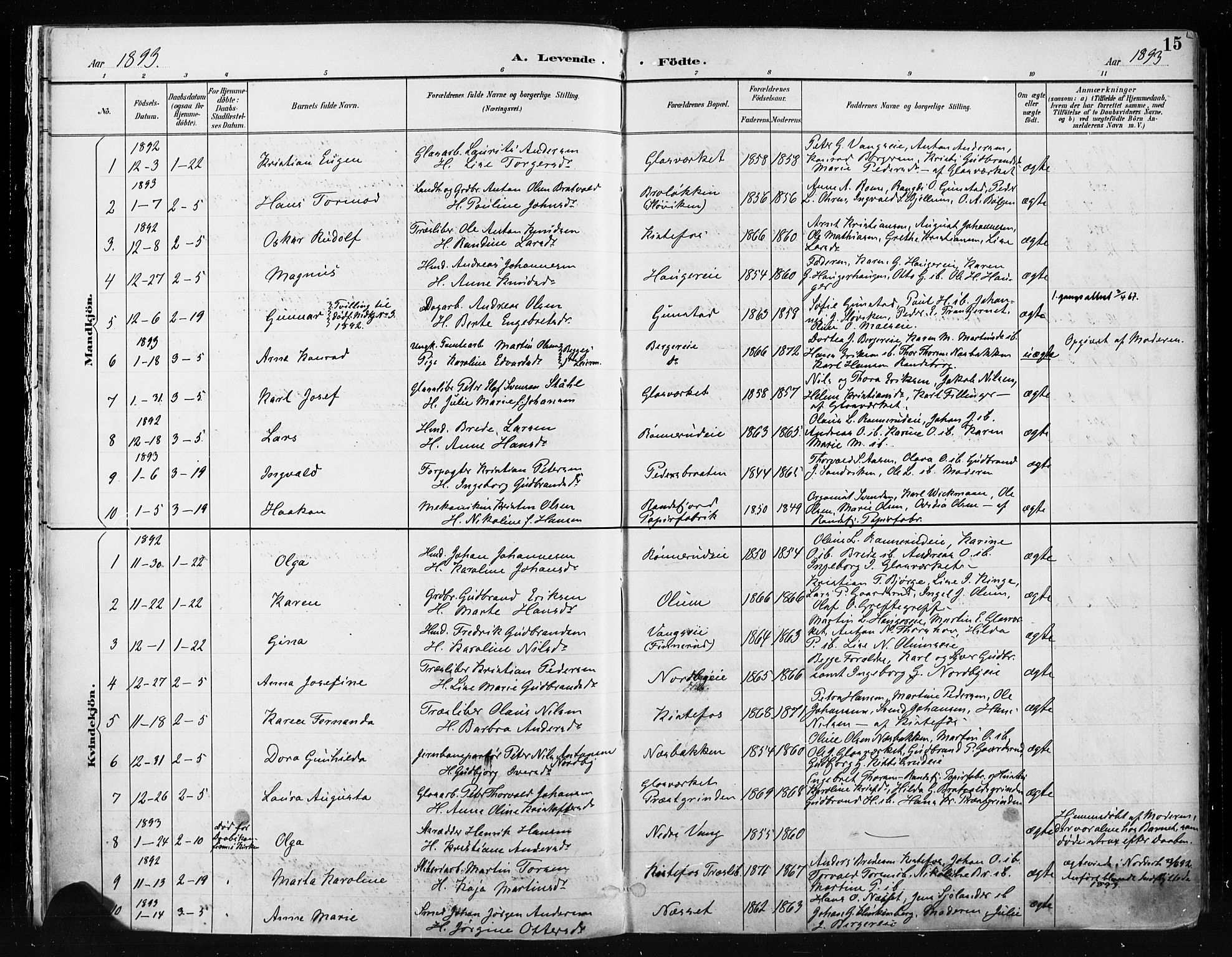 Jevnaker prestekontor, SAH/PREST-116/H/Ha/Haa/L0009: Parish register (official) no. 9, 1891-1901, p. 15