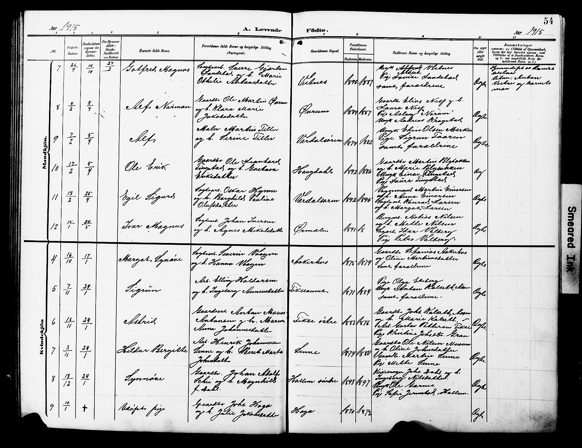 Ministerialprotokoller, klokkerbøker og fødselsregistre - Nord-Trøndelag, SAT/A-1458/723/L0258: Parish register (copy) no. 723C06, 1908-1927, p. 54