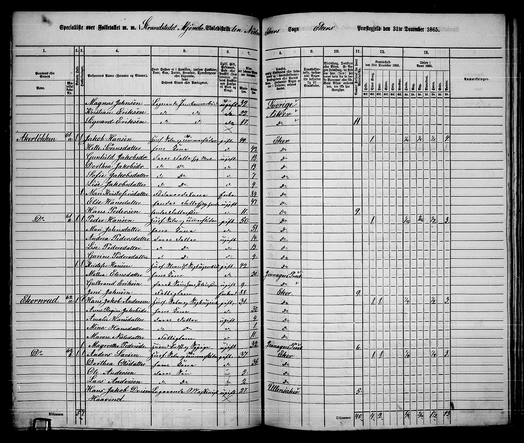 RA, 1865 census for Eiker, 1865, p. 408