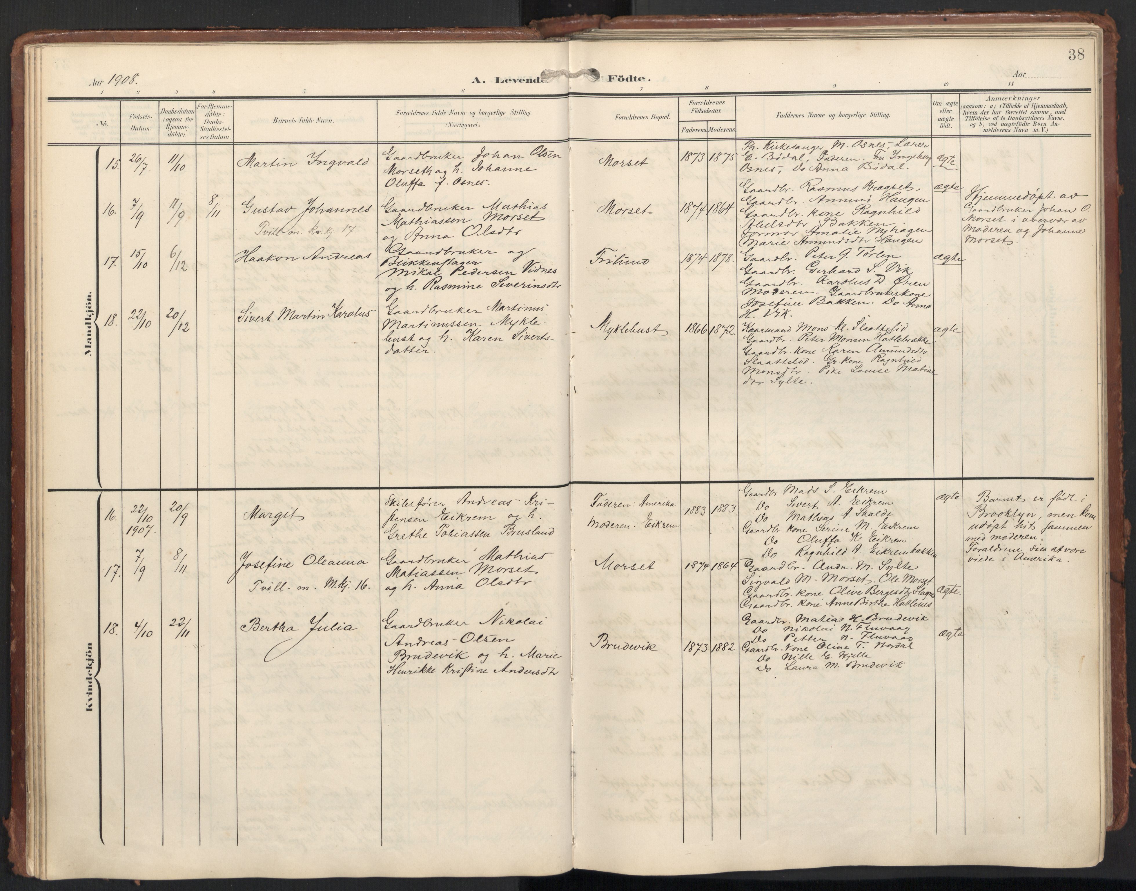 Ministerialprotokoller, klokkerbøker og fødselsregistre - Møre og Romsdal, AV/SAT-A-1454/501/L0011: Parish register (official) no. 501A11, 1902-1919, p. 38