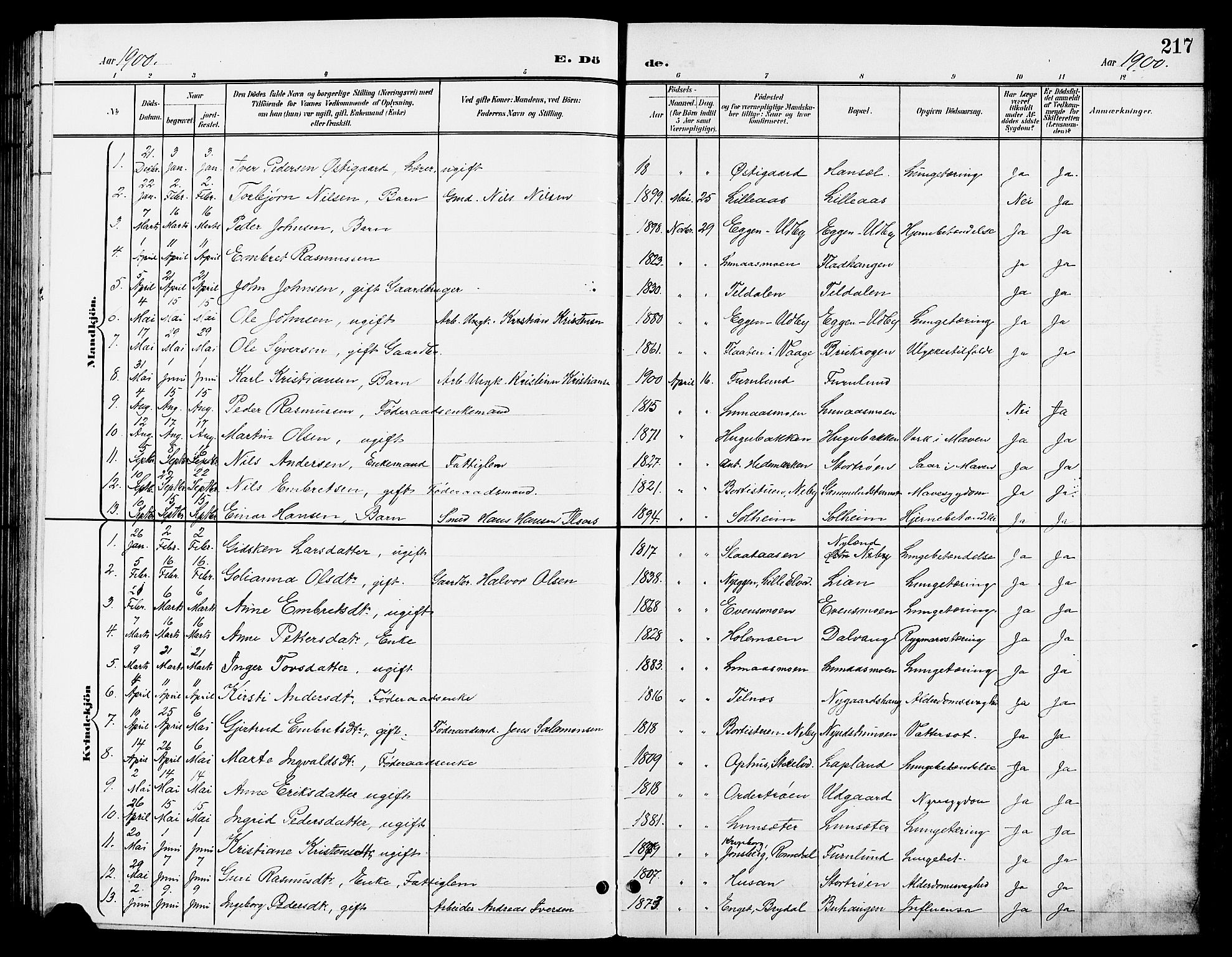 Tynset prestekontor, AV/SAH-PREST-058/H/Ha/Hab/L0009: Parish register (copy) no. 9, 1900-1914, p. 217