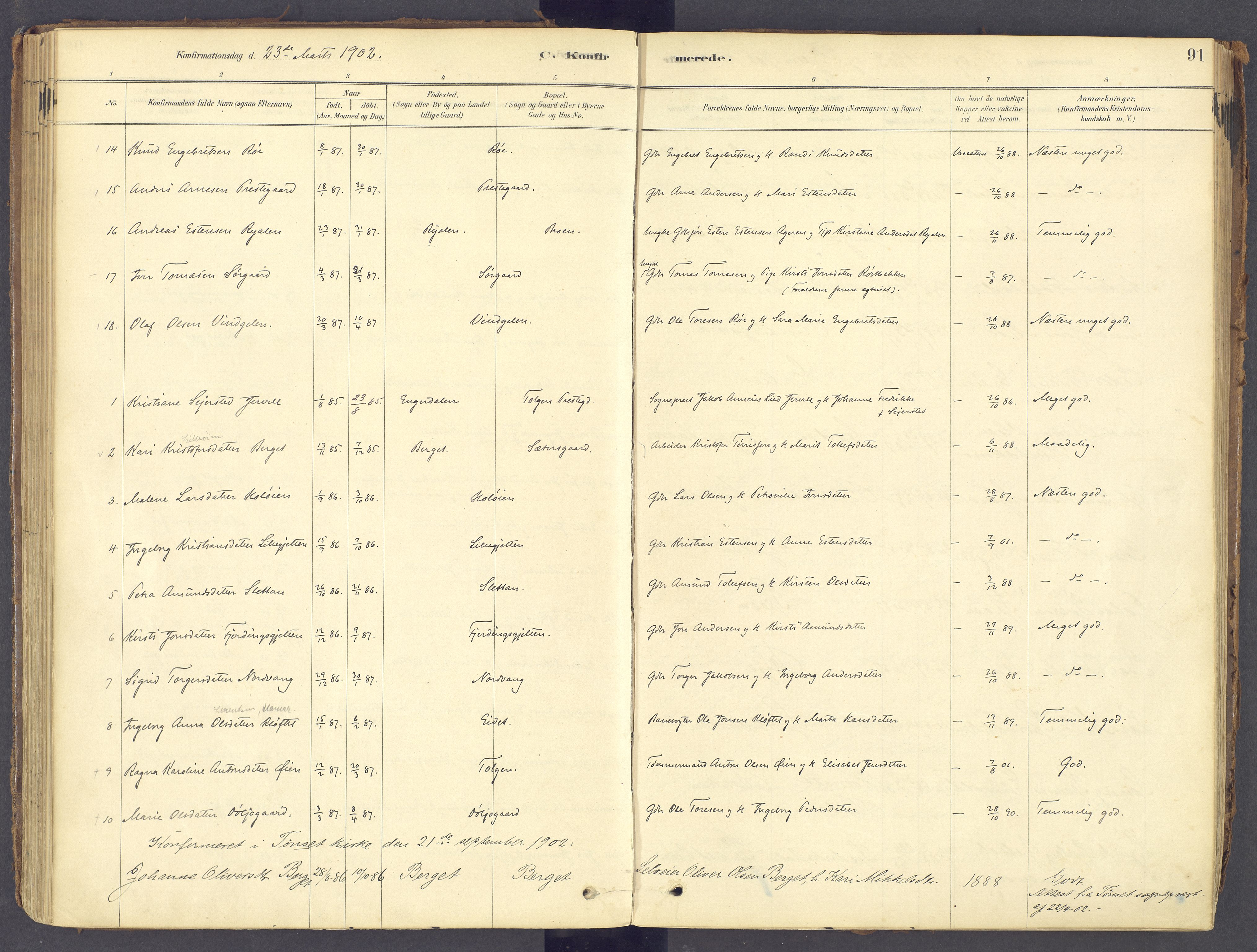 Tolga prestekontor, AV/SAH-PREST-062/K/L0011: Parish register (official) no. 11, 1877-1920, p. 91