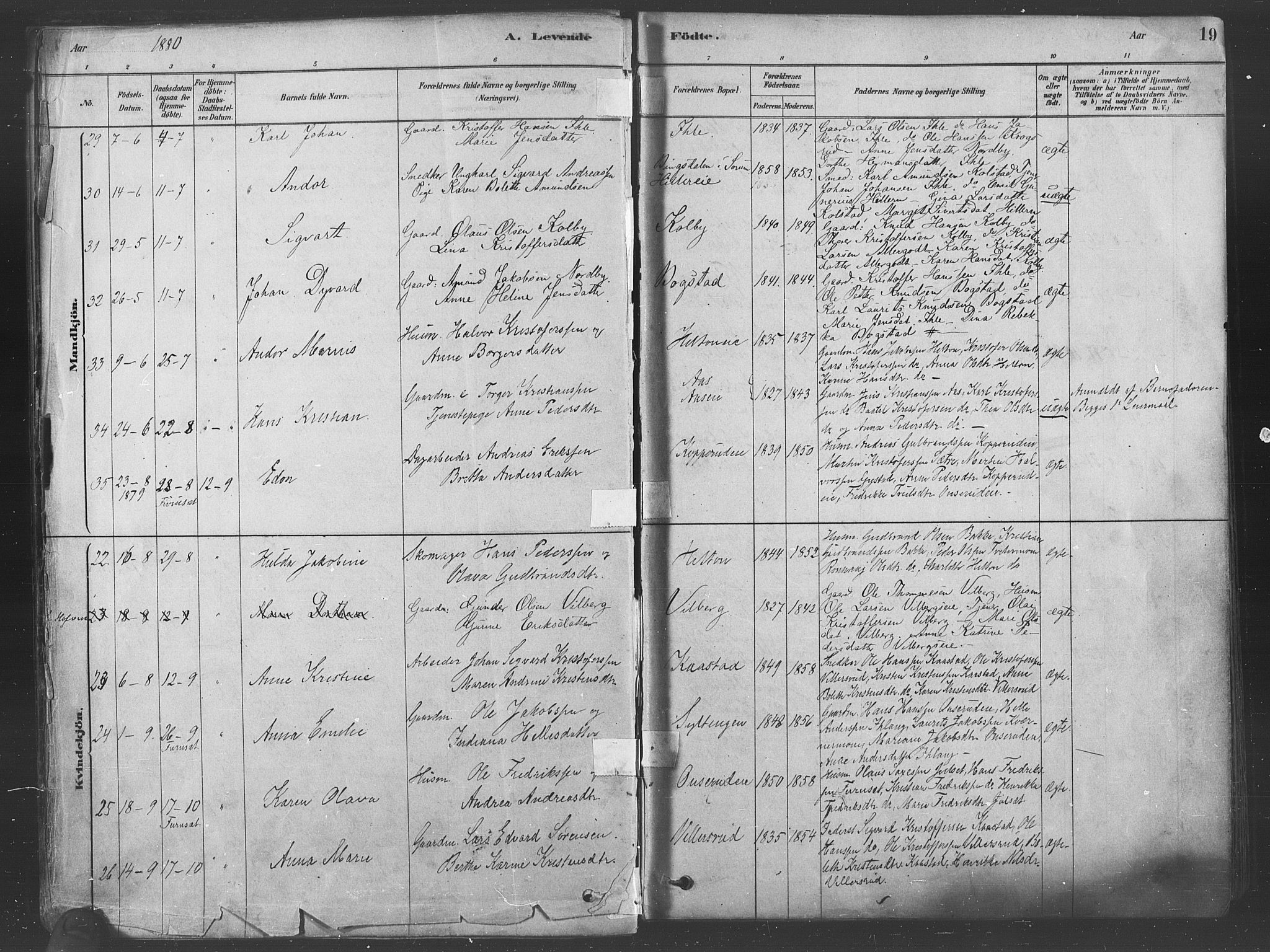 Ullensaker prestekontor Kirkebøker, AV/SAO-A-10236a/F/Fa/L0019: Parish register (official) no. I 19, 1878-1891, p. 19